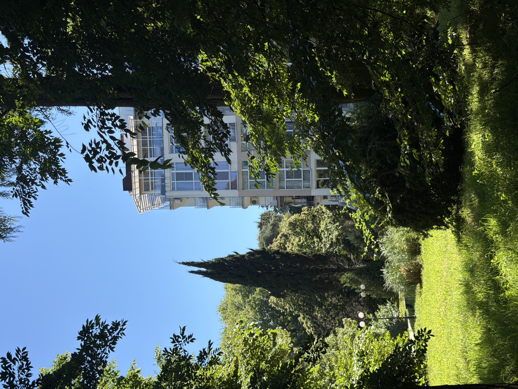 The image depicts a sun-drenched park with a modern building in the background, framed by lush green trees and foliage. In the foreground, a bright green lawn is bathed in sunlight, with shadows cast by the surrounding trees. Further back, a tall, slender cypress tree stands prominently, contrasting with the softer textures of deciduous trees and shrubs. Two traditional lamp posts with globe lights are visible on the left side of the park. A multi-story building with a light-colored facade and numerous windows is partially visible behind the trees on the right. The sky is a clear, vibrant blue. The scene is characteristic of a park area in Sirius, Russia, known for its verdant landscapes and modern architecture. There are no people or animals visible in the image.