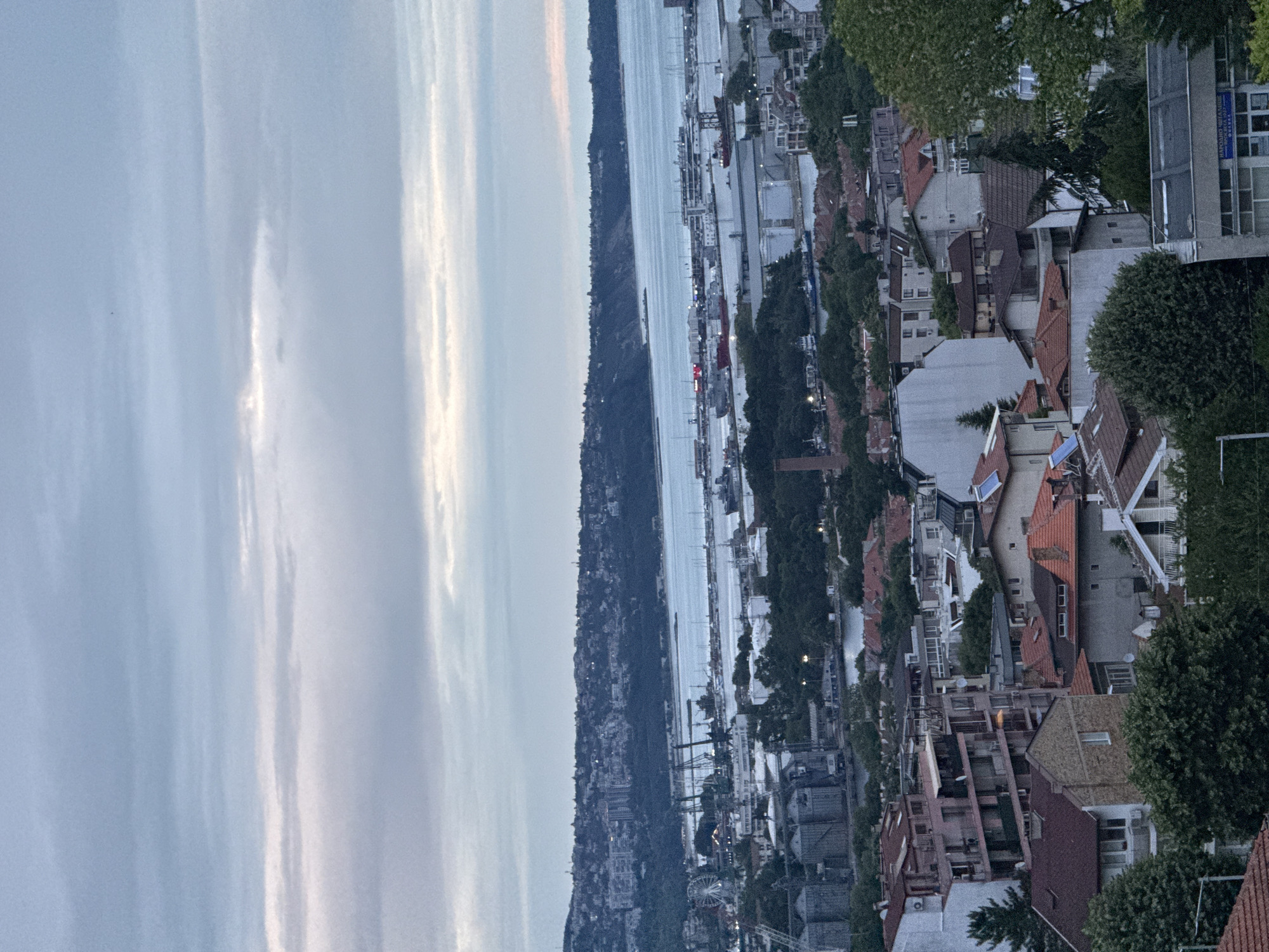 The image shows an elevated, wide-angle view of a coastal city. In the foreground, there are dense green trees partially obscuring a cluster of multi-story buildings with red-tiled roofs. Further back, a large body of water, likely a harbor or bay, is visible. The harbor is dotted with various vessels, including large ships and smaller boats, and features industrial structures like cranes and silos. Across the water, a hilly coastline is lined with a dense urban landscape of buildings stretching up the slopes. The sky is overcast with soft, diffused light, suggesting either dawn or dusk. The overall impression is one of a bustling port city nestled along a natural coastline under a cloudy sky.