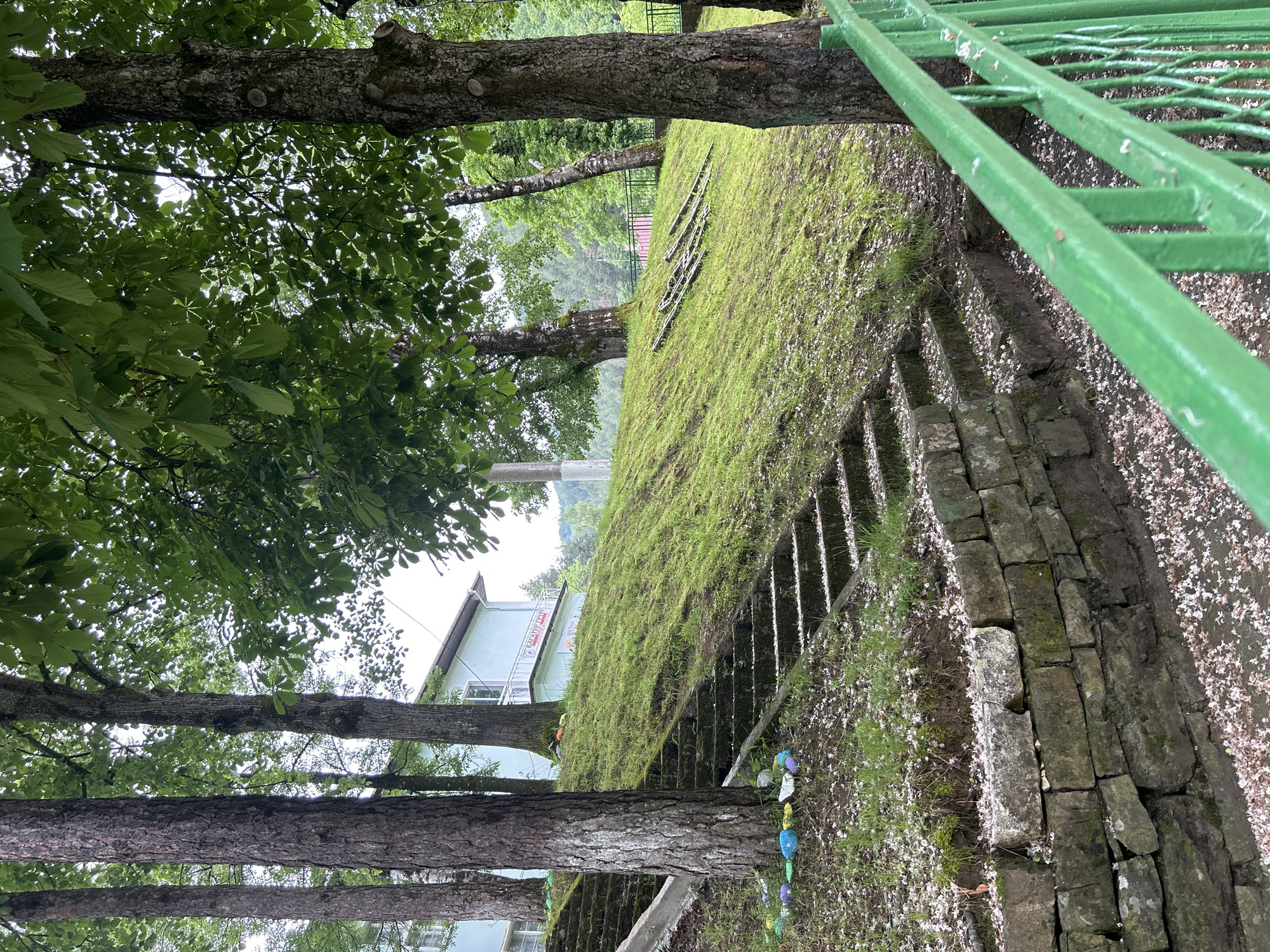 The image shows a ground-level view of a grassy hill in the city of Unknown, Unknown. The hill is bordered by a set of stone steps on the right side. The steps are lined with a green metal railing. The ground around the steps is covered with white petals. A few trees are visible along the left side of the image, partially obscuring a building in the background. The building has a light-colored facade and a sign written in Cyrillic script.
