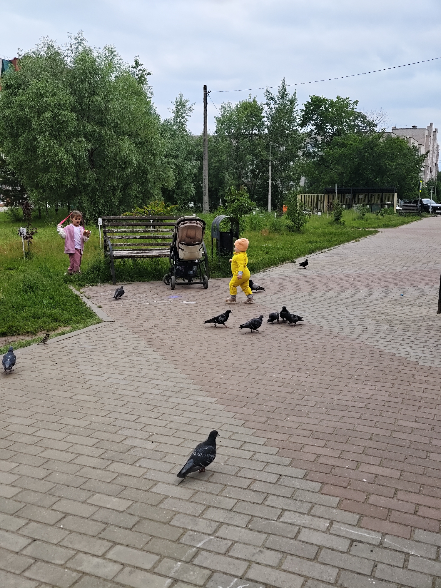 In Chaikovsky, Russia, on a cloudy day, a paved walkway is lined by a grassy area with trees and buildings in the background. A young girl in a pink outfit stands in the grass near a park bench, holding a pink object. Next to the bench is a stroller. A toddler in a yellow outfit walks on the paved path, surrounded by pigeons. Several pigeons are also present on the walkway in the foreground.