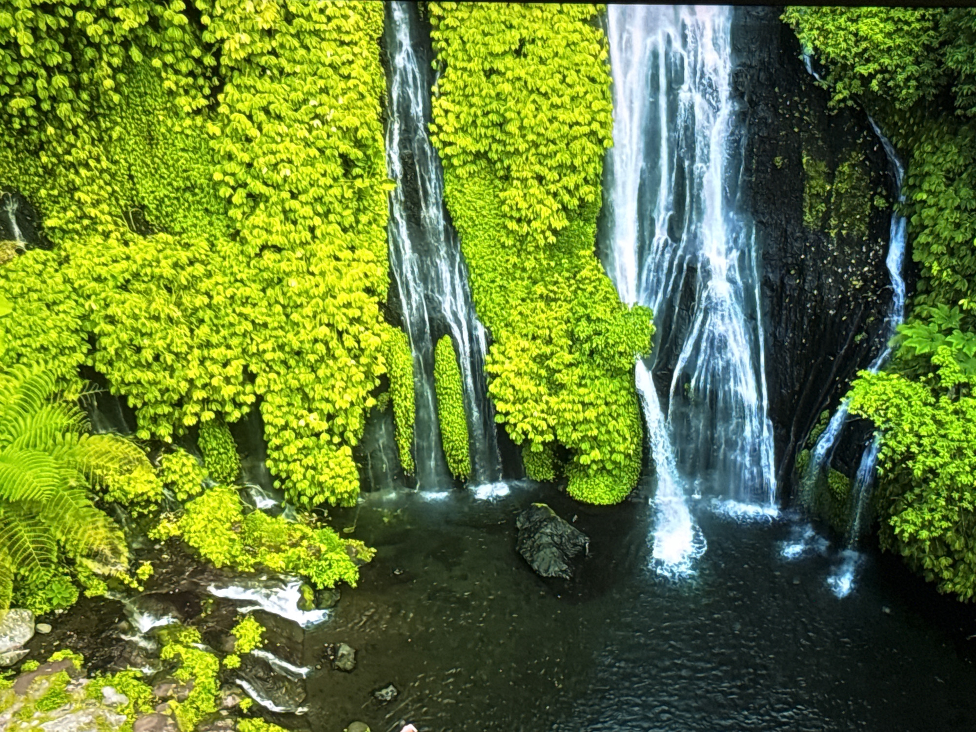 This is a high-angle, close-up shot of a lush, green waterfall cascading down dark, moss-covered rocks. The water is bright white and appears to be flowing in multiple streams. The surrounding vegetation is dense and vibrant, with many small, bright green leaves covering the rocks and framing the waterfalls. In the foreground, the water collects in a dark pool with some rocks visible beneath the surface. There are no people or animals visible in the image. The scene is entirely natural and appears to be an exotic or tropical location. This image does not depict any location within the city of Burgas, Bulgaria.