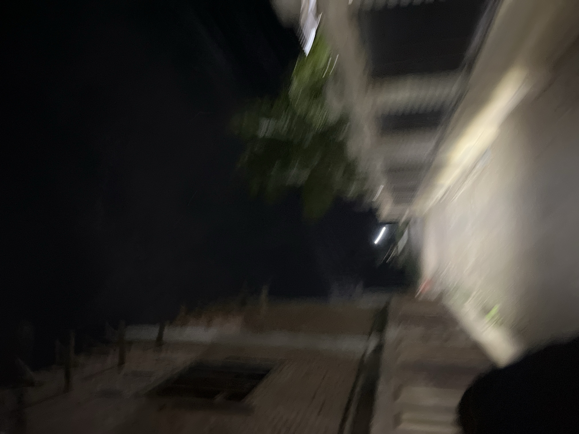 The image depicts a blurry night scene on a street in Menangini, Indonesia. On the left, a building with a textured facade and a dark rectangular opening, possibly a window, is visible. The right side of the street features a wall with vertical divisions and what appears to be a dense, blurred green tree. A bright light, likely from a streetlamp or vehicle, illuminates the pathway ahead. The overall impression is one of motion blur, suggesting the image was taken while moving.