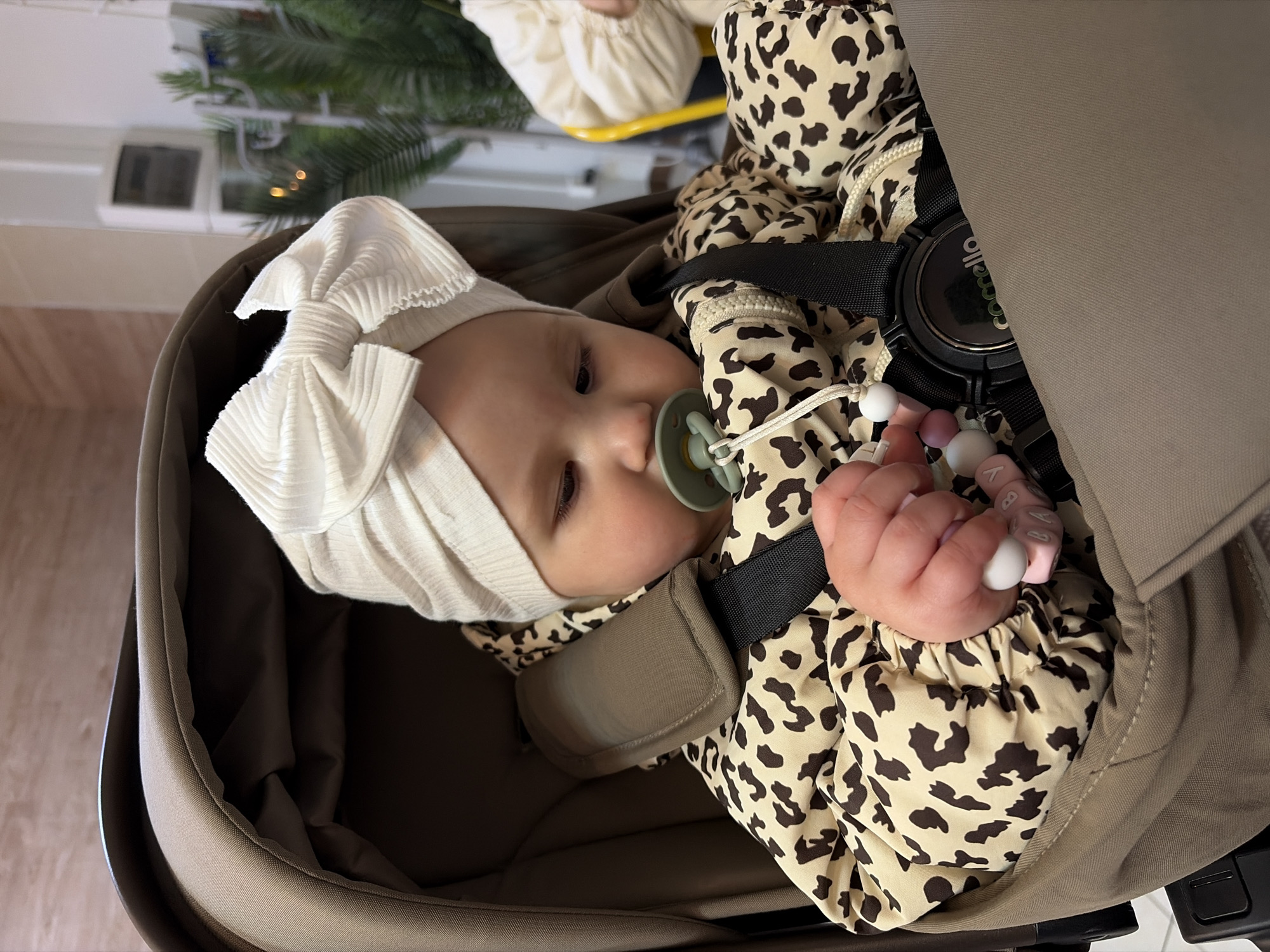 An overhead shot depicts an infant comfortably secured in a beige or khaki-colored stroller or car seat, set indoors in what appears to be a brightly lit public space. The baby wears a light, possibly cream-colored, ribbed beanie adorned with a large bow. Its outfit is a distinctive light beige with a brown/black leopard print pattern, and it has a light green pacifier in its mouth. A black safety harness is visible across the baby's chest, featuring a prominent circular buckle with the word "Comello" inscribed on it. The baby's left hand is gently grasping a pacifier clip made of white and pink silicone beads, some of which form the letters "B", "A", and "Y". The infant appears calm and gazes softly towards the right side of the frame.
In the blurred background, an indoor setting is evident with reflections on a glossy surface showing parts of a ceiling and a large green potted plant, possibly a palm. A faint outline of an air conditioning unit or vent can also be seen in the reflection. The overall lighting suggests it is daytime. The scene captures a peaceful moment of the baby, likely resting or observing its surroundings, within a general indoor environment in Novopokrovskaya, Russia.
