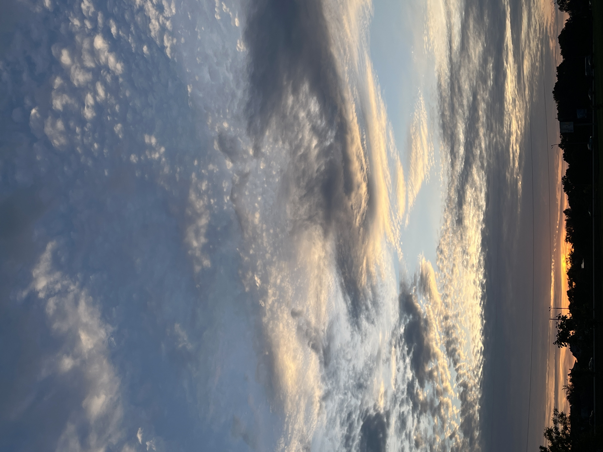 The image depicts an outdoor scene during either sunrise or sunset over the city of Minsk, Belarus. The sky occupies the majority of the vertical frame, exhibiting a gradient of colors from deep blue in the upper portion to lighter blues, grays, and warm yellow-orange hues towards the horizon. Various cloud formations are present, including small, scattered altocumulus floccus clouds in the upper-right quadrant, and extensive, layered altostratus and stratocumulus formations across the mid-sky. These mid-level clouds display both dark gray, shadowed areas and sections illuminated from below with golden and orange light. Wispy, horizontally elongated clouds with warm illumination are also visible in the lower-mid sky.
The terrestrial landscape, spanning approximately the bottom one-fifth of the image, appears as a dark silhouette. This silhouette is composed primarily of dense deciduous tree lines and indistinct low-rise structures. A bright, partially obscured orange light source, consistent with the sun disk, is visible just above the horizon, slightly to the left of the image center, concealed by the silhouetted foliage. Multiple parallel lines, identified as power lines or communication cables, stretch horizontally across the middle of the silhouetted landscape. Below the tree line, a horizontal roadway is discernible, upon which several dark shapes representing vehicles, including cars and potentially a bus, are visible, suggesting ongoing traffic. Faint points of artificial light, likely streetlights, are observable within the silhouette. No identifiable individuals are present in the image.