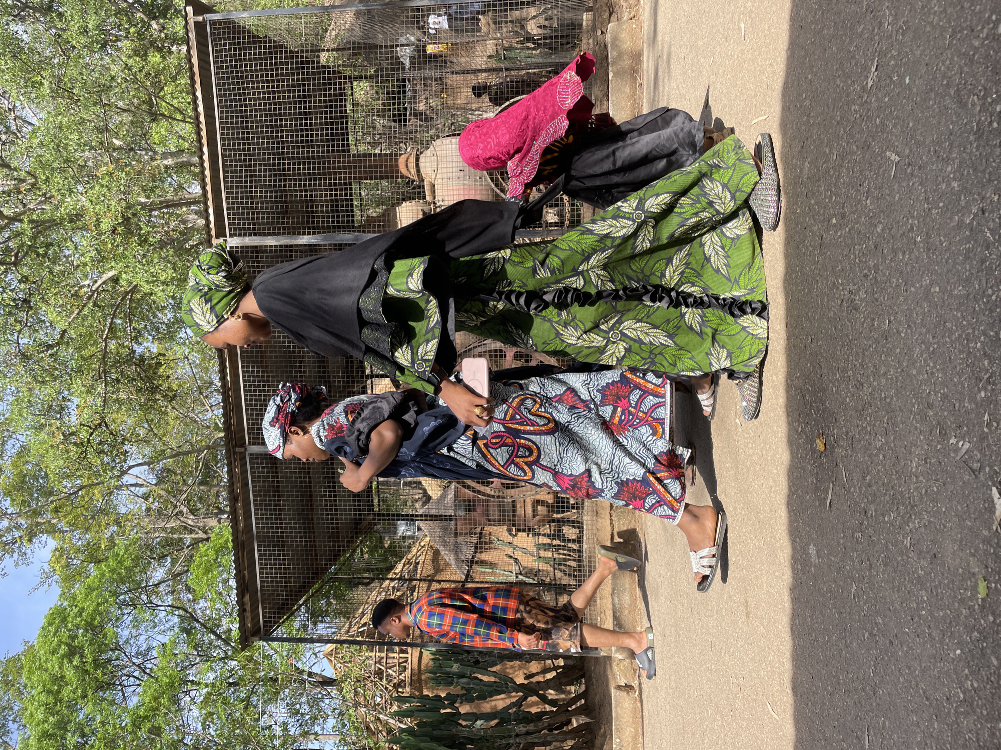 An outdoor scene in bright daylight shows four individuals walking on a paved surface next to a wire mesh fence. The ground transitions from a lighter concrete pathway to a darker asphalt section, with distinct shadows indicating strong sunlight.
In the foreground, a woman walks on the left, dressed in a black top and a vibrant green patterned long dress with black ruffled trim. She wears a matching green head wrap, gold hoop earrings, and silver embellished slide sandals. She holds a light-colored smartphone in her right hand.
Behind her and slightly to the right, another woman is visible. She wears a dark top, a colorful patterned long dress featuring red, orange, and blue motifs, and a matching patterned head wrap. She has gold rings on her fingers and also wears silver embellished slide sandals. She appears to be looking down at a smartphone in her hand.
Further back, partially obscured by the second woman, a third woman is present. She has a reddish-pink patterned head wrap and a dark top, with a vibrantly colored fabric, possibly pink lace, draped over her shoulder.
To the right and slightly behind the second woman, a man walks. He is wearing a plaid long-sleeved shirt in shades of red, blue, and orange, along with dark slide sandals.
Behind the wire mesh fence, lush green trees and foliage are visible under a clear blue sky. There are also some dry, spiky plants resembling cacti or succulents. Structures made of metal and wood can be seen behind the fence, suggesting enclosures or facilities, possibly within a park or zoo setting in Jos, Nigeria. No visible text is present in the image.