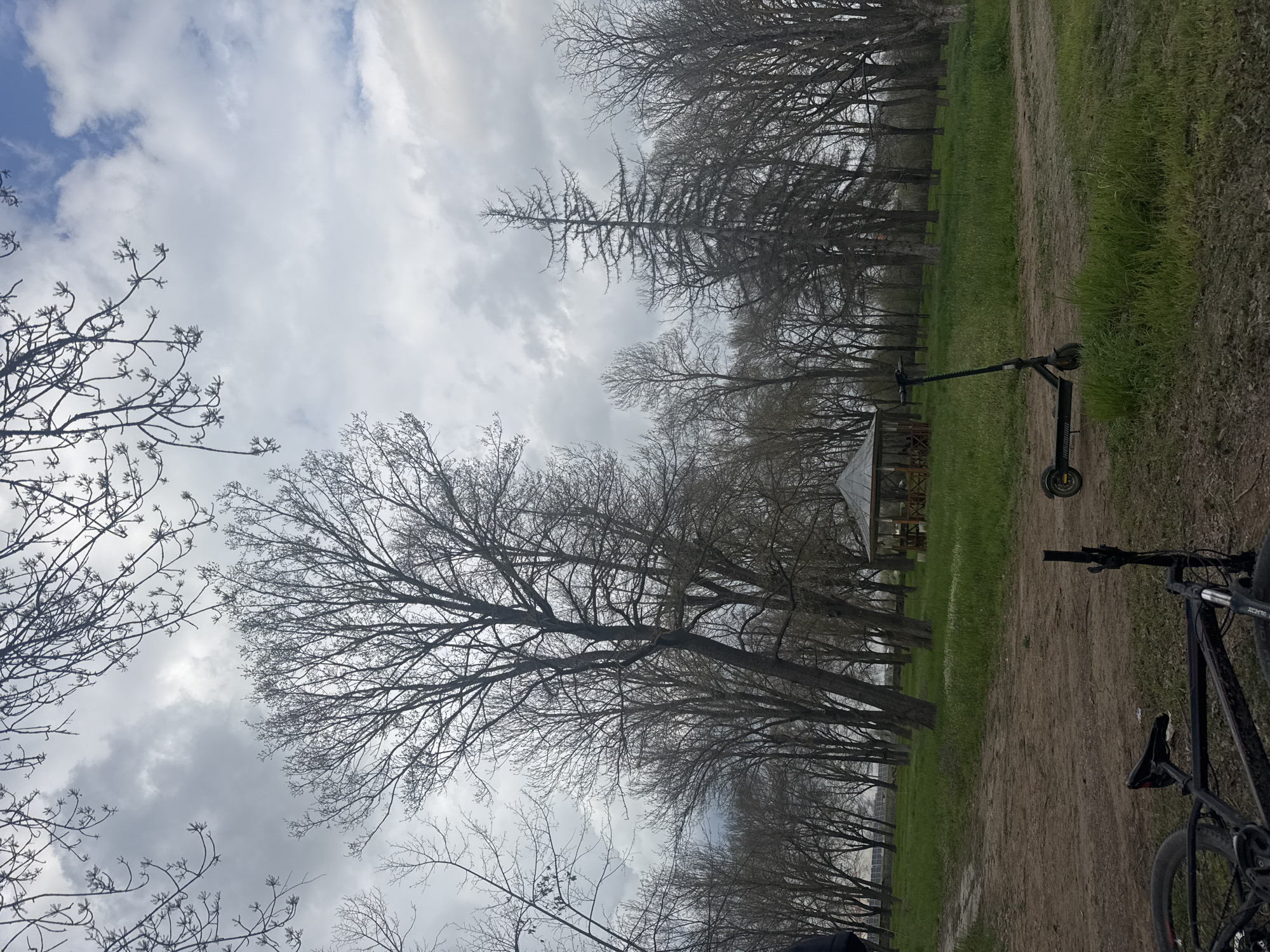 The image shows a park landscape, possibly in Lehchevo, Bulgaria. A dirt path runs along the right side of the image, with green grass bordering it. Several leafless trees line the path, stretching into the background where a gazebo is visible. An electric scooter stands on the grass near the path. In the foreground, a black bicycle is partially visible on the right. The sky is overcast with cloudy weather. Bare tree branches are prominent in the foreground against the sky. The scene appears to be outdoors.