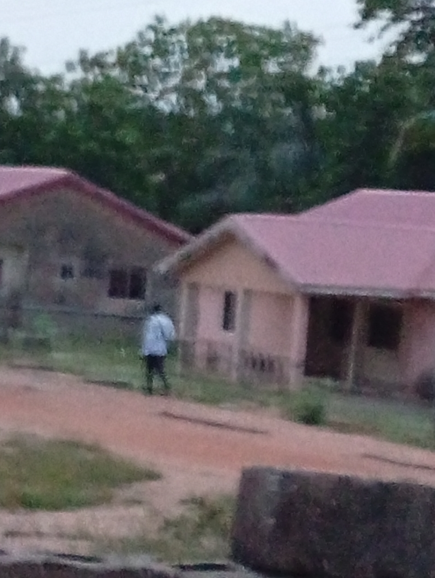 The image captures a blurry, low-resolution outdoor scene featuring several structures, a person, and natural elements. In the foreground, there is a dark, rectangular object, possibly a large stone or concrete block. A reddish-brown dirt path runs through the middle of the frame, with patches of green grass on either side.
An individual, appearing to be an adult male, is visible on the dirt path, walking away from the viewer. He is wearing a light-colored long-sleeved shirt and dark pants. His back is to the camera, and he is positioned roughly in the center-left of the image.
In the midground and background, there are three buildings or houses. The structure on the far left has a prominent reddish/pinkish sloped roof and lighter-colored walls, with dark, rectangular shapes that suggest windows. The middle building is smaller, also featuring a reddish/pinkish sloped roof and light-colored walls, with what appears to be a single narrow window and a covered porch area. Part of a third similar building is visible on the far right, with its matching reddish/pinkish roof and dark openings.
The background consists of dense green foliage and trees, suggesting a natural or semi-rural setting. The sky is overcast and light, but the overall lighting is dim, indicating it might be early morning, late afternoon, or a heavily cloudy day. The image quality is poor, making details indistinct. There is no visible text. The location context is unknown.