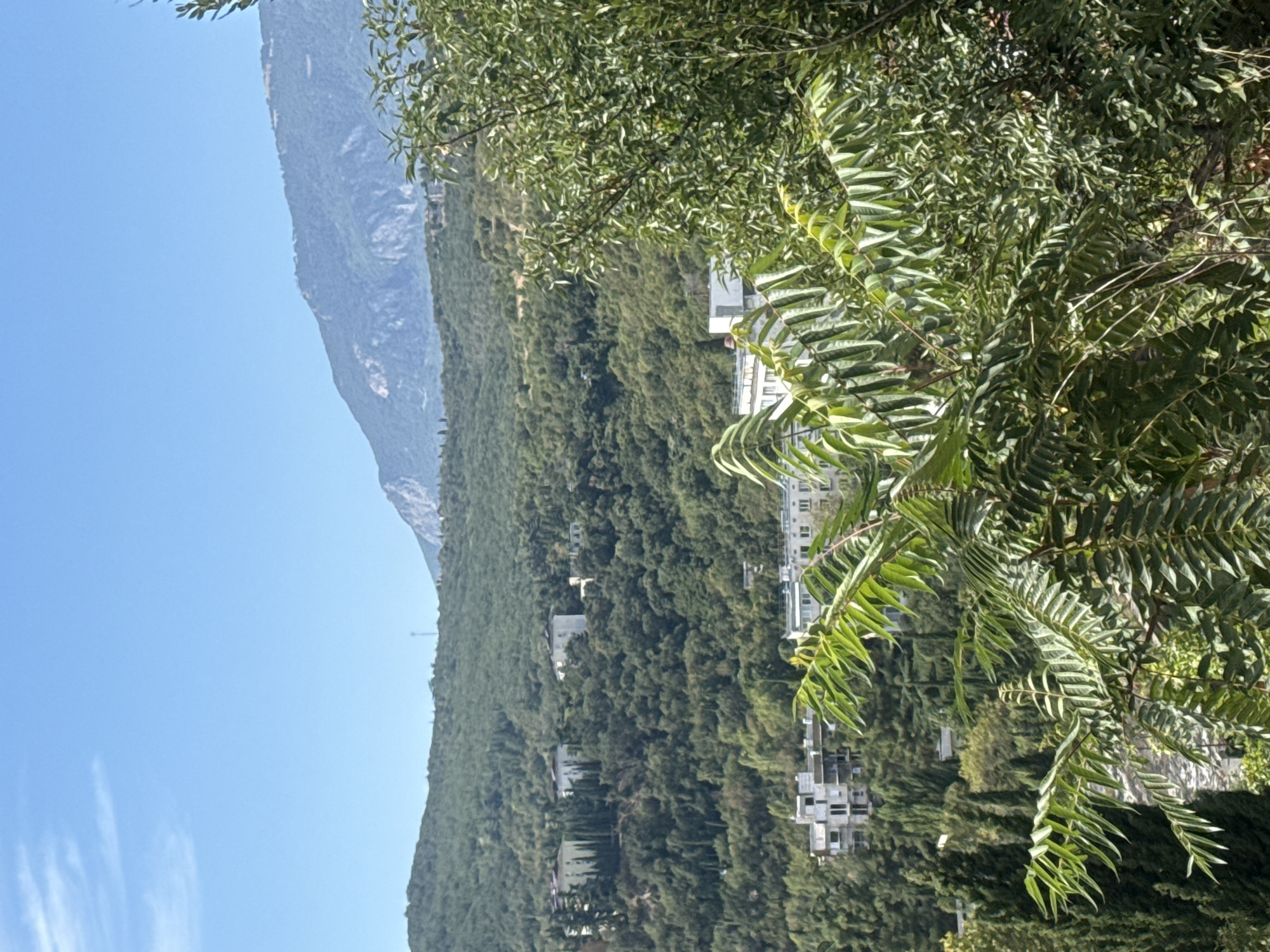 In Partenit, Ukraine, this image captures a scenic view of a hillside covered in dense green trees, with several white buildings nestled amongst them. In the foreground, lush green foliage, likely from a tree with long, feathery leaves, partially obscures the view of the buildings and the landscape beyond. The buildings are modern, with flat roofs and multiple stories, suggesting a residential or resort area.
Further up the hillside, more buildings are visible, some appearing to be larger structures with a classical architectural style, surrounded by cypress trees. The backdrop is dominated by a large, hazy mountain range under a clear blue sky with a few wispy clouds. The overall impression is one of a tranquil, nature-rich environment with scattered human habitation, typical of a coastal or mountainous region. The lighting suggests it is daytime, with bright sunlight.