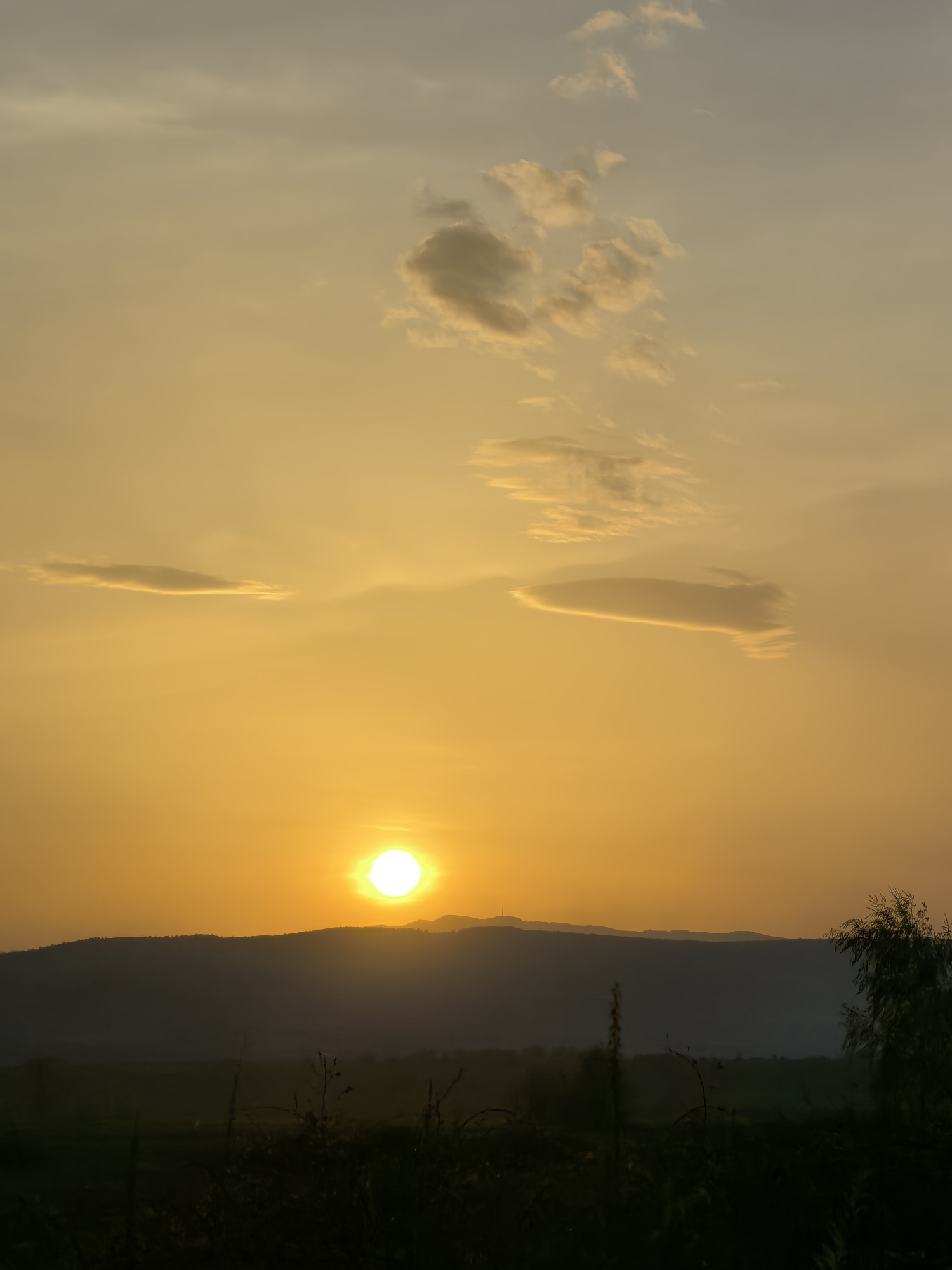 The image shows a landscape at sunset in an unspecified location. The sun is setting behind a range of hills, with the bright orb dominating the horizon. The sky is a gradient of orange and yellow, with some clouds scattered throughout. In the foreground, there is vegetation that appears to be grass and possibly some trees, though they are silhouetted against the light. The scene is peaceful and serene, typical of a sunset over a natural landscape.