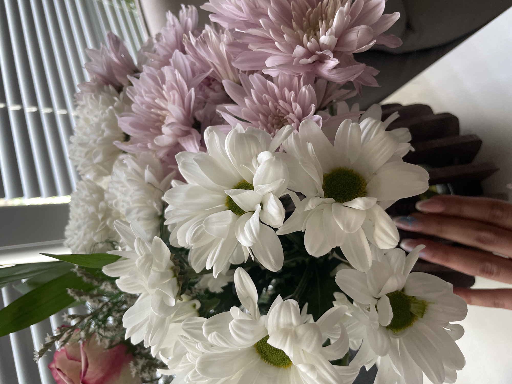 The image features a close-up view of a bouquet of flowers. The bouquet includes a mix of white and light purple chrysanthemums. The white flowers have a green center. The bouquet is arranged with green leaves and other small filler flowers. In the background, there's a partially visible window with blinds. The focus is on the flowers, with the background slightly blurred. A hand appears on the right side of the image with painted fingernails. The location appears to be indoors, but the city and specific location are unknown.