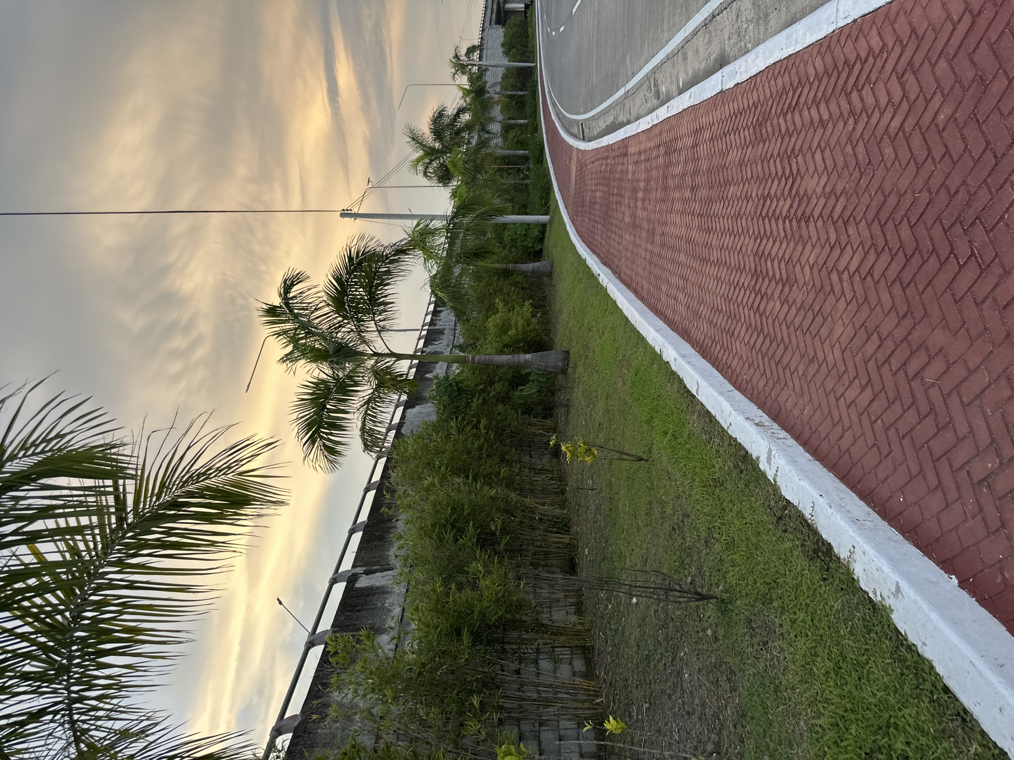 The image depicts a paved walkway with red brick pavers in a herringbone pattern, bordered by a white concrete curb. To the left of the walkway is a strip of green grass and young saplings, followed by a dense growth of bamboo and a concrete retaining wall. Beyond the wall, palm trees are visible, with some of their fronds extending into the frame from the top left. The background consists of a cloudy sky with hues of yellow and orange, suggesting either sunrise or sunset. Several utility poles with wires are also present. To the right of the walkway is a paved road with white lane markings. This scene is characteristic of the areas along the Davao-Samal Bridge, specifically the approach on the Davao City side, which features landscaping and pedestrian pathways. No people or animals are visible in the image.