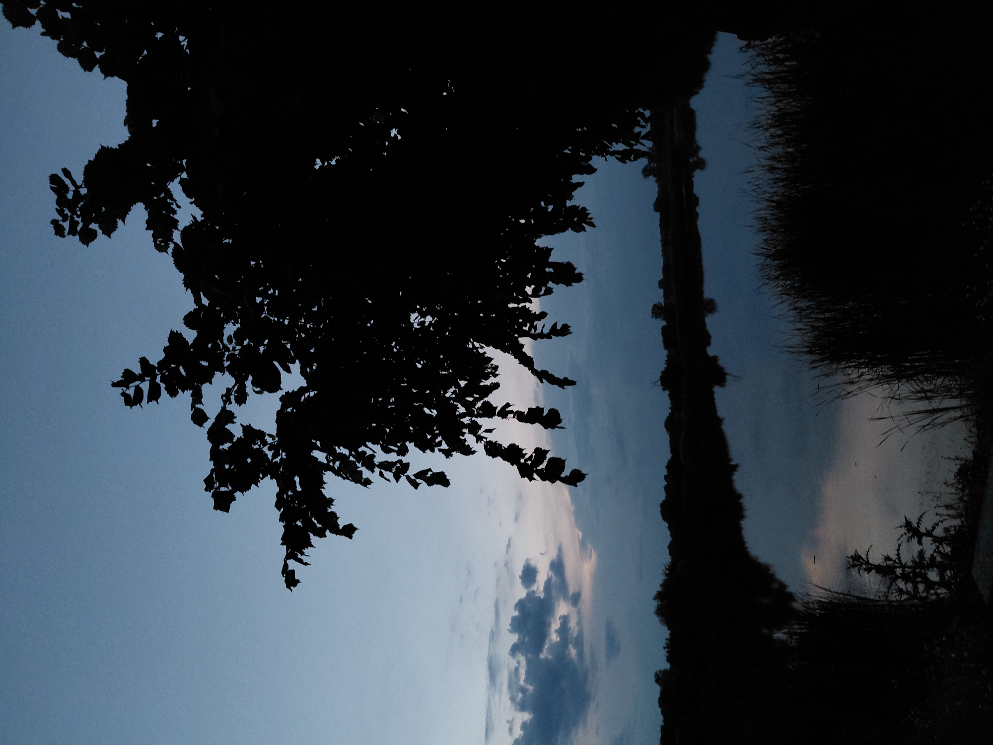 This is a silhouette photograph taken at dusk. In the foreground, a large tree branch with leaves overhangs the scene from the right side. The middle ground features a body of water, likely a river or lake, reflecting the dim sky. Along the far bank of the water, a dark silhouette of trees and foliage is visible. The sky itself is a gradient of deep blue at the top, fading to lighter blues and hints of pink and grey near the horizon, with scattered clouds present. The location is stated to be the city of Ustyvytsia, Ukraine. No people or specific actions are depicted. The overall atmosphere is serene and tranquil, characteristic of twilight.
