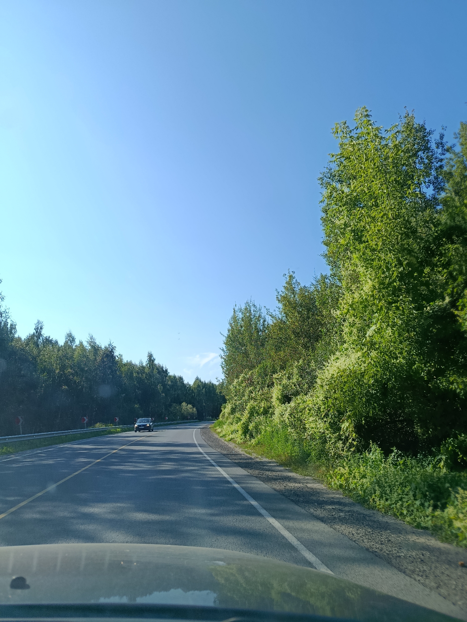 A dark-colored car is driving on a two-lane asphalt road through a dense green forest under a clear blue sky. The road curves to the right, and there are guardrails and orange traffic signs on the left side. The sun casts shadows on the road. The image appears to be taken from inside another vehicle, as the dashboard is visible in the foreground. The scenery suggests a rural or natural setting, possibly along a highway in the area of Снопок Новый, Russia.