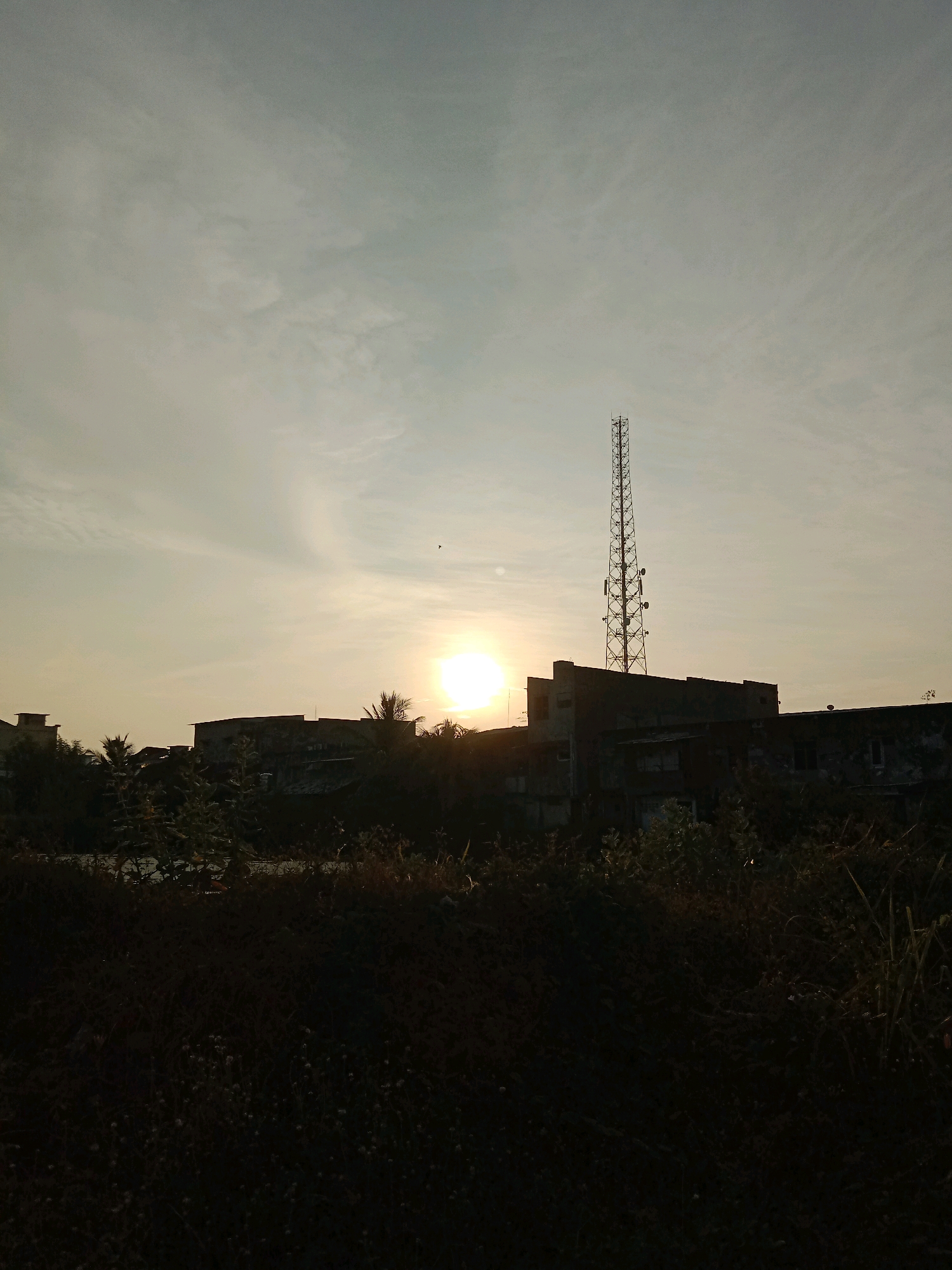 The image captures a sunset scene in Lhokseumawe, Indonesia, characterized by a large, brightly lit sun positioned to the right of center, casting a warm glow across a hazy sky. Silhouetted against the sky are several buildings, including a prominent, tall communication tower with multiple antennas. Below the buildings, dense foliage and trees are visible, also in silhouette. The foreground is dominated by dark, shadowy vegetation, with hints of smaller plants and possibly some dried grasses. The overall impression is one of an urban fringe at dusk.