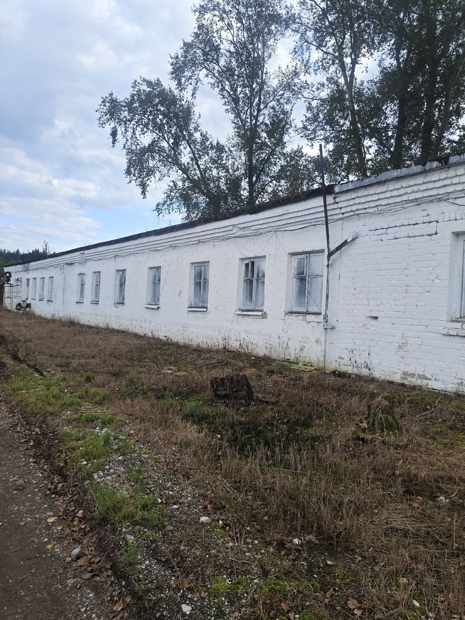 A long, one-story, white brick building with a dark roof is situated outdoors, likely in a rural or semi-abandoned area. The building has numerous evenly spaced windows along its facade, many of which appear dirty or frosted. The ground in front of the building is covered with dry grass, weeds, and some loose dirt and gravel. Trees with dark green foliage are visible behind the building and to its left. The sky above is partly cloudy with a light blue hue. There is no visible human presence or activity. The scene appears to be located in the village of Platoshino, Russia, based on the provided context.