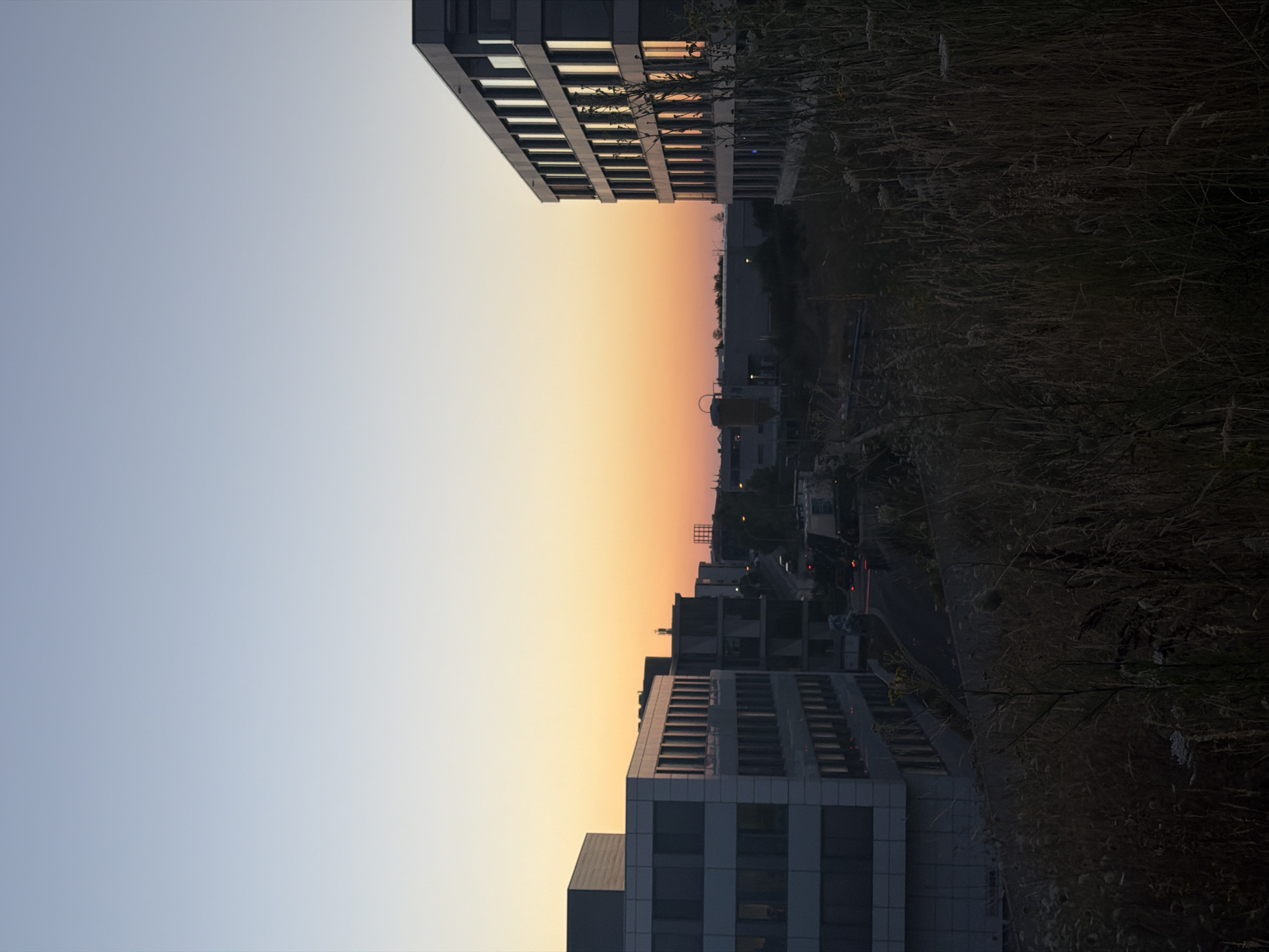 This is a vertical, high-angle shot of an urban landscape at dusk. The sky displays a gradient of soft blues at the top transitioning to vibrant orange and pink hues near the horizon. In the foreground, dense, dry grasses and weeds dominate the lower half of the image, obscuring the ground and lower portions of the structures.
To the left, a modern, multi-story office building with a white facade and numerous rectangular windows is prominently featured. Its glass windows reflect the warm colors of the sunset. To the right, another similar office building stands, also with a dark facade and many windows reflecting the twilight sky.
In the middle ground, a road winds between the buildings. Several cars, their headlights and taillights illuminated, are visible on the road, suggesting ongoing traffic. Further in the distance, other buildings and industrial structures can be seen, including what appears to be a tall, skeletal radio tower. The overall environment appears to be a business park or industrial area on the outskirts of Leudelange, Luxembourg. The lighting conditions are dim, with the setting sun casting long shadows and creating a serene, atmospheric mood. No people are visible in the scene.