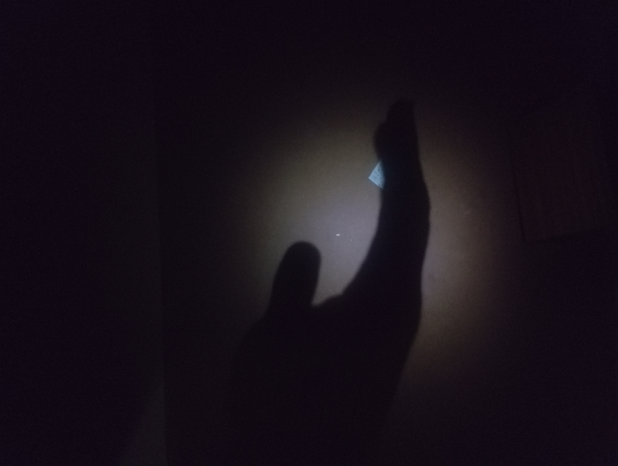 The image captures a very dark indoor scene, likely at night, where a strong, localized light source casts a prominent, elongated shadow of a human hand onto a textured, light-colored wall or surface. The shadow, occupying a significant portion of the right side of the frame, clearly outlines a hand with fingers extended upwards and a thumb positioned towards the left.
A small, faintly visible, light-colored object, possibly a piece of paper or fabric, is discernable in the background, illuminated by the same light source that creates the hand's shadow. The surrounding environment is almost entirely black, suggesting the room is otherwise unlit, with the artificial light creating a focused beam on the surface. There are no discernible details regarding weather or specific location cues within the image itself. No visible text is present. The scene is devoid of any apparent activity beyond the projection of the hand's shadow.