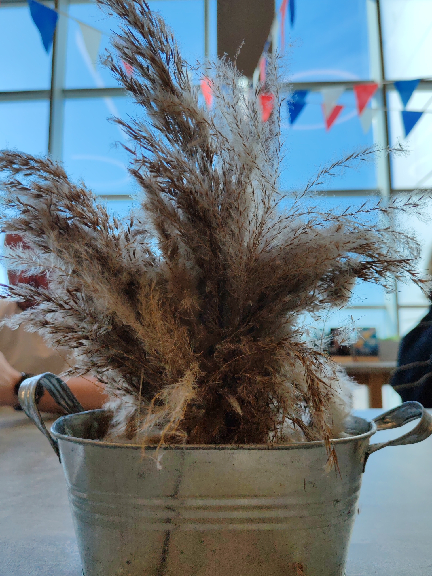 A close-up shot captures a bouquet of dried grass, possibly pampas grass, in a distressed metal bucket with handles. The grass is feathery and light brown, with some wisps of white. Behind the grass, a large window reveals a bright blue sky dotted with white, blue, and red triangular flags strung across it, suggesting a celebratory event or decoration. The window frame is visible, indicating an indoor setting with a view of the outdoors.
In the background, the blurry shapes of people can be seen, one with an arm visible on the left side of the frame. Another person or object is out of focus on the right. A wooden table is also partially visible. The overall lighting suggests it is daytime. The scene appears to be in a public or commercial space, perhaps a cafe or restaurant, given the table setting and window view. The flags suggest a festive atmosphere, possibly related to a national holiday or sporting event, given the colors. The image composition focuses on the natural texture of the dried grass against the man-made, celebratory backdrop. No text is visible in the image.