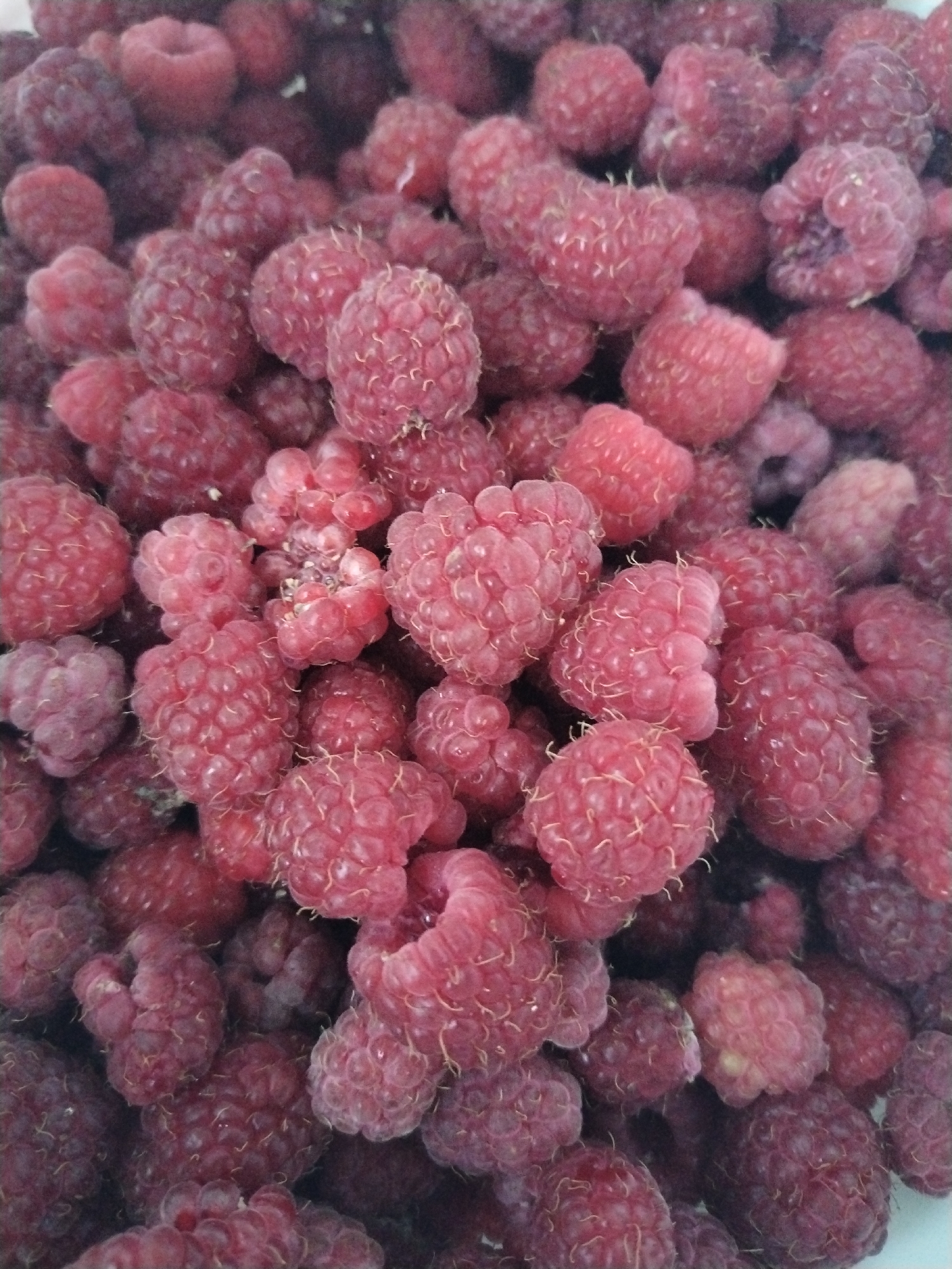 A high-angle, full-frame shot shows a pile of fresh, ripe raspberries. The berries are a vibrant pinkish-red color and are densely packed together, filling the entire frame. The lighting is natural and even, highlighting the textured surface of each raspberry. There are no people or other objects visible in the image. The scene is a close-up of a bowl or container of raspberries, with no indication of a specific location within Акбердино, Russia.