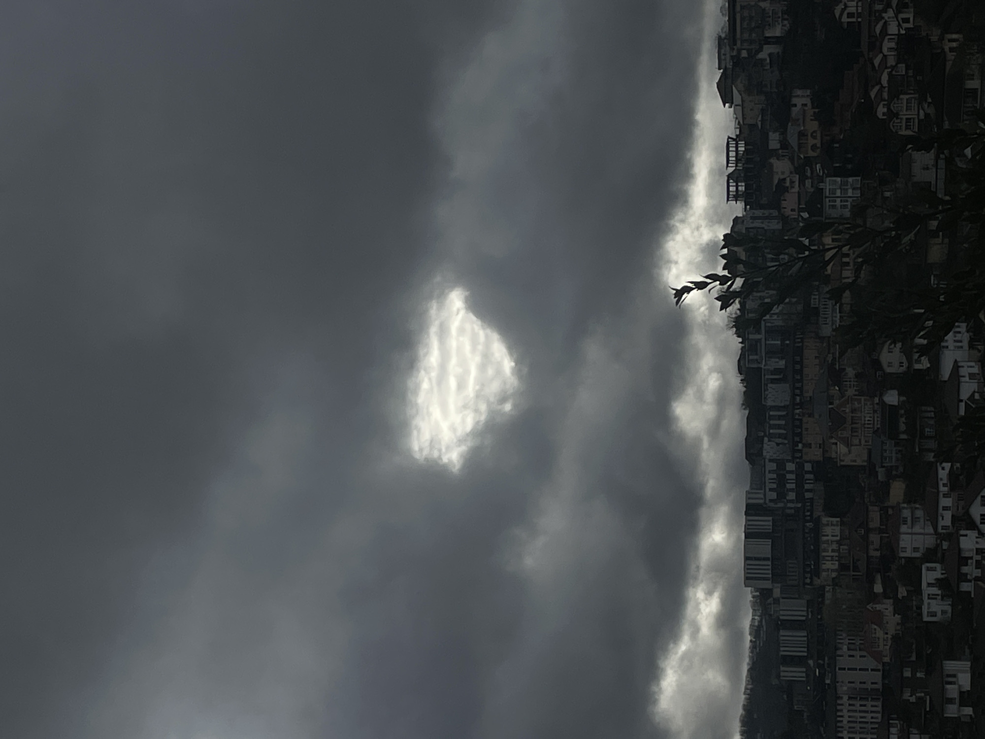 Overcast day in Sochi, Russia. Tall buildings are stacked on a hillside beneath a dark, cloudy sky with a single patch of white. A few branches are visible in the foreground.