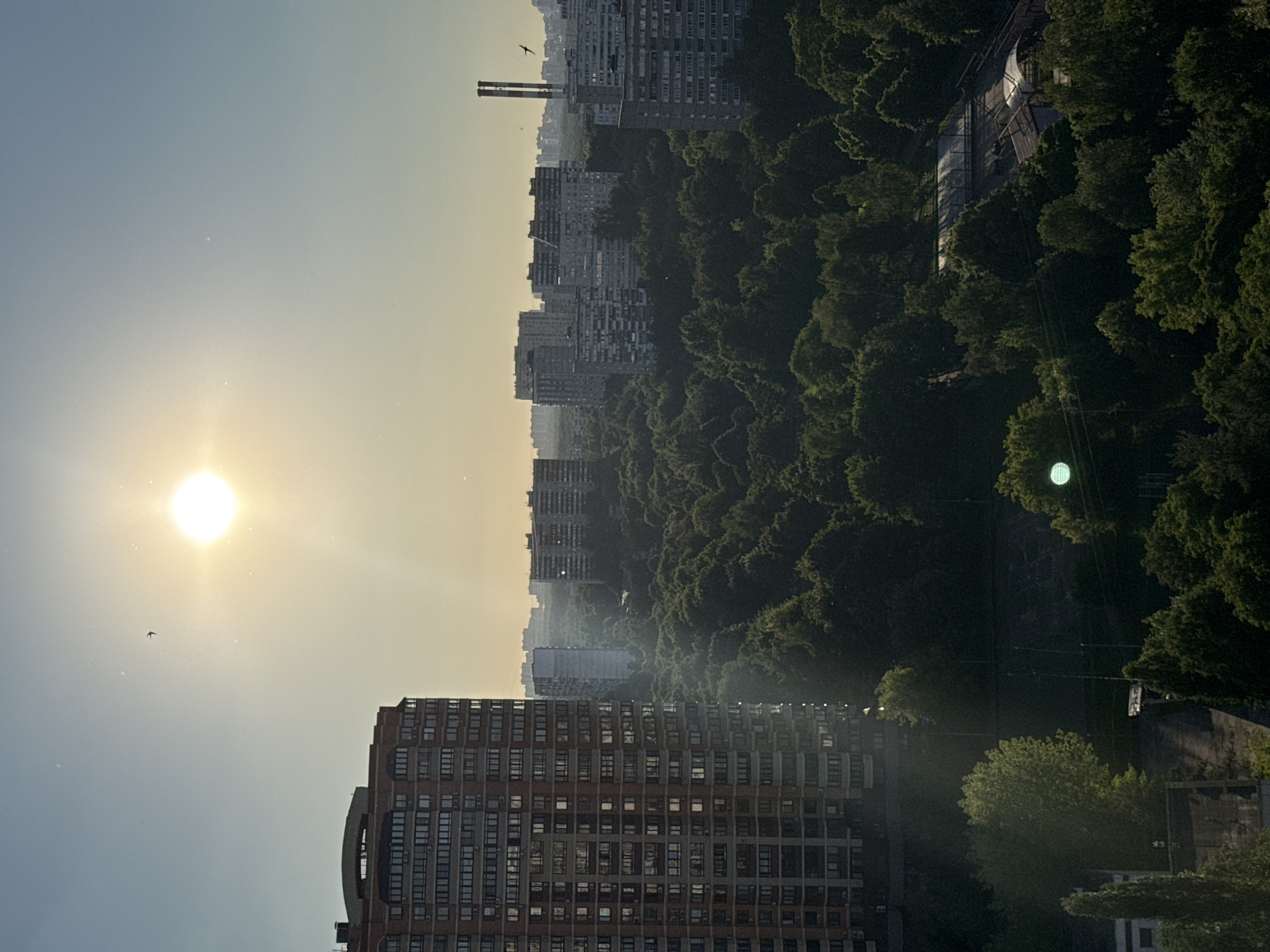 This image captures a panoramic view of a Moscow urban landscape from an elevated perspective, likely a high-rise building, during daylight hours, indicated by the low sun angle and golden light, suggesting either early morning or late afternoon.
In the upper right quadrant of the image, the sun is intensely bright and partially overexposed, casting visible lens flares and light streaks across the sky. The sky transitions from a pale blue in the upper left to a yellowish-white around the sun. A small, dark bird, possibly a swift or swallow, is in flight in the upper left sky. Another similar bird is visible in the far right.
To the left, a tall, modern multi-story residential building dominates the near-field skyline, with its reddish-brown facade and numerous rectangular windows. Many windows exhibit reflections, and some show visible air conditioning units. The building's top features a distinctive dark, slightly curved or arched roofline structure.
The middle ground and extending into the lower left and right is an extensive, dense deciduous forest or park area, displaying vibrant green foliage, indicative of spring or summer. The trees are heavily shadowed on their left side, consistent with the sun's position to the right.
Beyond the forest, in the distant background, numerous grey, slab-like multi-story residential apartment blocks, characteristic of Soviet-era construction, are visible. These buildings appear somewhat hazy and silhouetted against the bright horizon. To the right of the center in the background, a prominent industrial chimney with two vertical flues is visible, painted with alternating red and white horizontal stripes.
In the bottom right corner, partially obscured by trees, a covered structure with a translucent roof, possibly an outdoor sports facility such as a tennis court, is discernible within the park. In the lower left, beneath the canopy, some indistinct ground-level structures and faint traces of a path are visible. A distinct circular, bright green lens flare appears in the lower left and lower right sections of the image.
The scene is located in Moscow, Russia, and is characteristic of residential districts such as Ramenki or Prospekt Vernadskogo, known for their mix of modern high-rise complexes, older Soviet-era apartment blocks, and proximity to large green spaces like the Setun River Valley Nature Reserve or Troparevsky Forest Park. No individuals are visibly present in the frame.