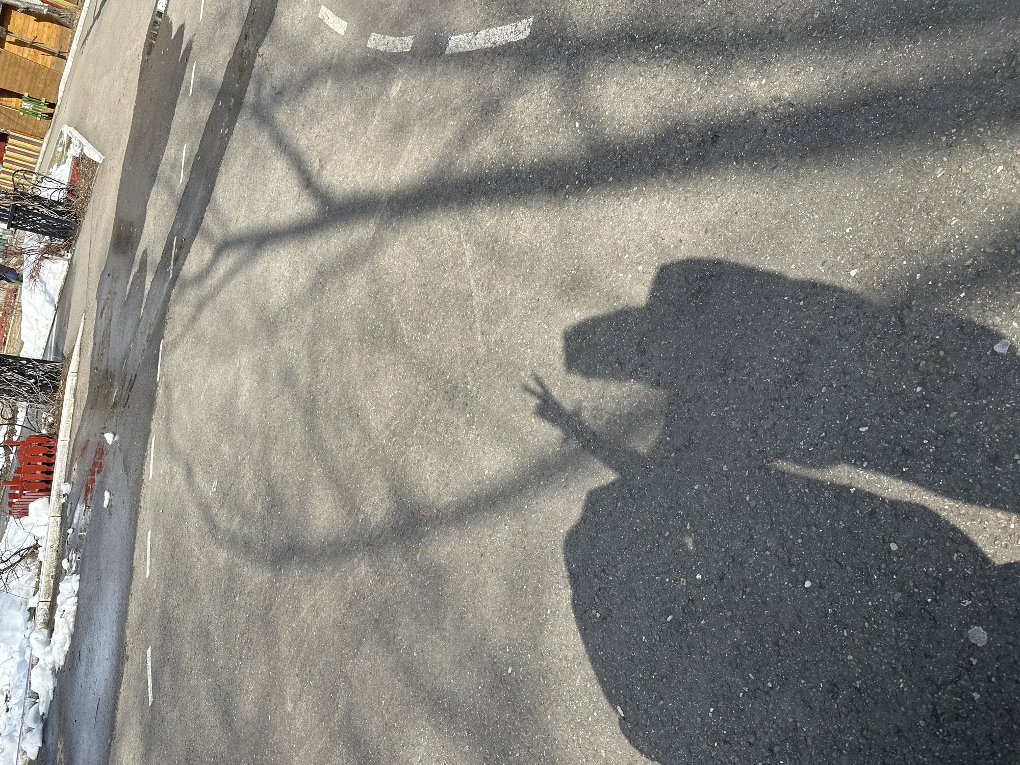 The image, taken in Chaikovsky, Russia, shows an outdoor scene focused on an asphalt road under bright sunlight. The road surface features white dashed lines, indicative of road markings. To the left, there are patches of melting snow along the edge of the road, alongside a brown wooden fence or structure and a dark metal fence or railing. Bare tree branches are visible near these fences, suggesting a late winter or early spring setting.
The main subject is the distinct shadow of a person, cast prominently on the asphalt in the lower right portion of the frame. The person, who is not visible themselves, is making a clear 'peace sign' gesture with their fingers, which is sharply defined in their shadow. The strong, clear shadows of both the person and tree branches across the road indicate that it is a sunny day, likely during late morning or early afternoon. The overall impression is a casual, positive moment captured in a cool, sunny environment. There is no visible text in the image.