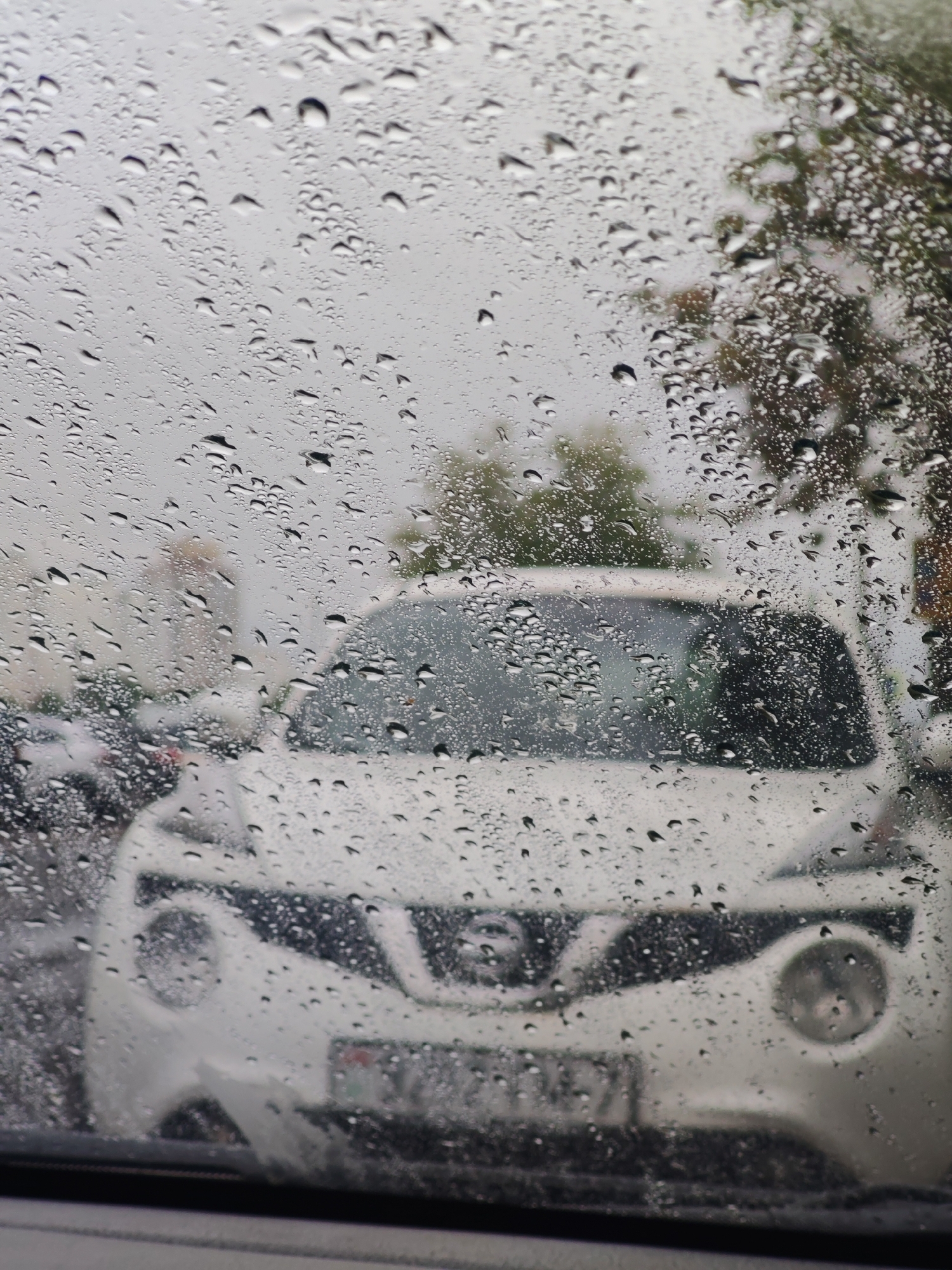A car sits in front of another, as viewed through a rain-streaked windshield. The car in front is white, and it fills the central field of view. A number plate is partially visible on the car. The background is blurry, but trees are identifiable in the periphery of view. The scene appears to be set in a city. It is raining. The city name is unknown.