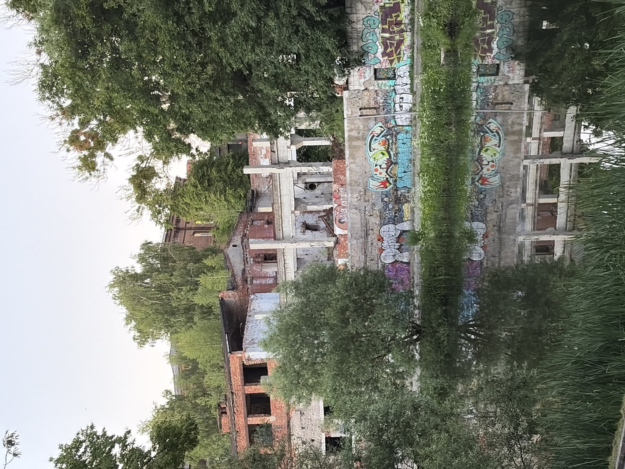 The image depicts a body of water in the foreground with tall green reeds along its edge. The water reflects the scene behind it, showing the distorted image of an abandoned, graffiti-covered brick building and lush green trees. The building appears to be in a state of disrepair, with broken windows and crumbling walls. Graffiti covers much of the exterior wall facing the water, with vibrant colors and various tags visible. The overall impression is one of urban decay and overgrowth, with nature reclaiming the man-made structure. The sky above is a pale, clear blue, suggesting it might be late afternoon or early morning.