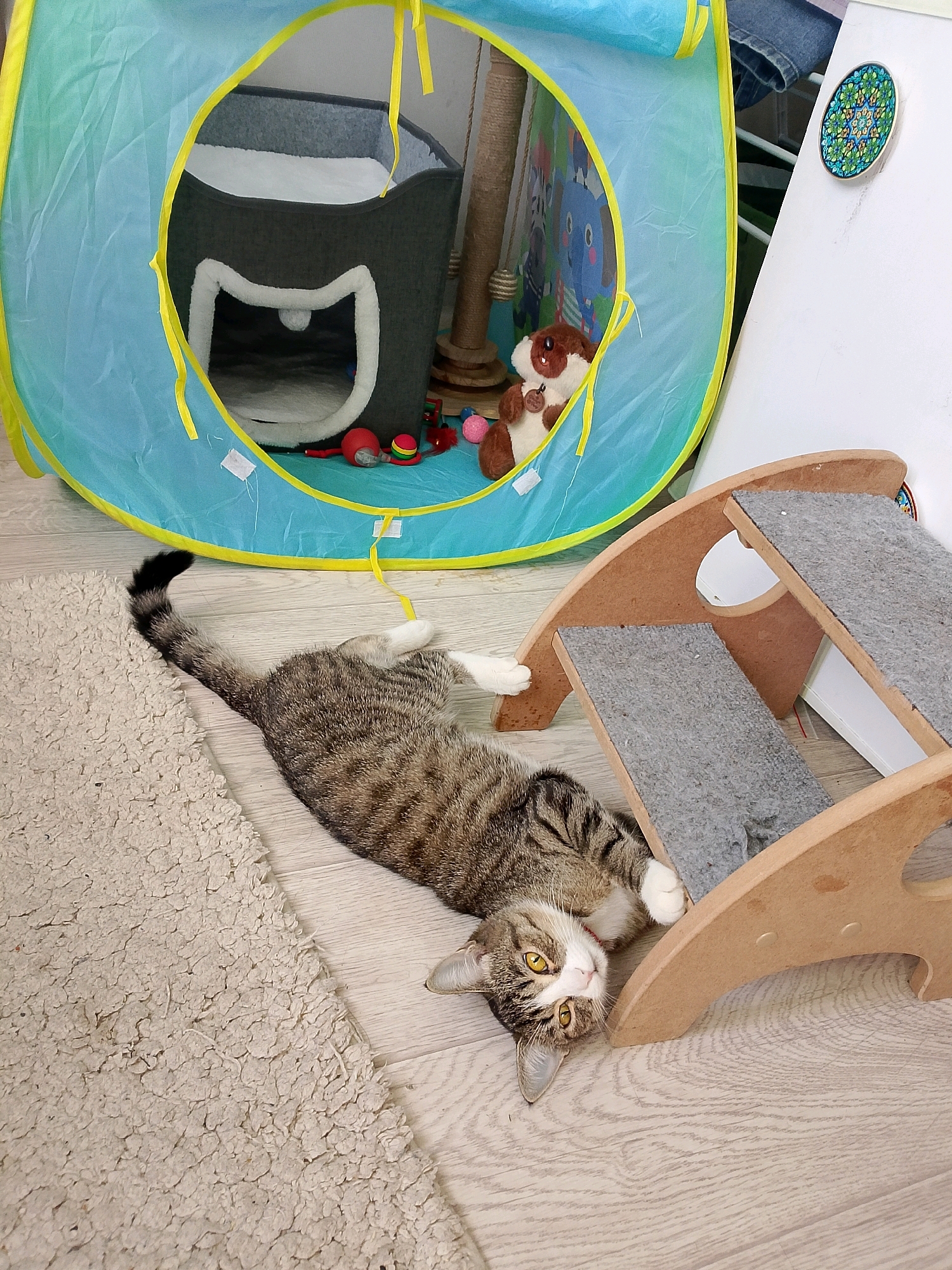 A tabby cat with yellow eyes is lying on its back on a light-colored wooden floor next to a shaggy rug. The cat is partially underneath a light brown wooden cat scratching post with two gray carpeted ramps. To the left of the cat is a blue and yellow pop-up cat tent with a dark gray cat bed inside. In the background, a portion of a scratching post and a stuffed toy can be seen within the tent. The scene appears to be an indoor setting, likely a room in a home.