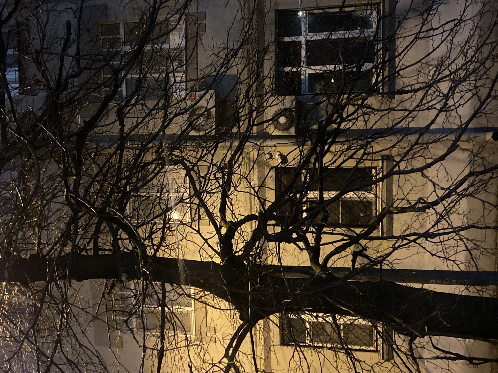 A night shot depicts a bare tree in the foreground, obscuring a building facade. The building is multi-story, and its concrete or plaster exterior appears aged. Windows with white frames are visible, along with at least two air conditioning units. The overall ambiance suggests an urban environment, likely in Moscow, Russia. The tree is leafless, and its branches are intricate and dark against the lighter backdrop of the building. The scene is lit artificially, casting shadows and highlighting textures.