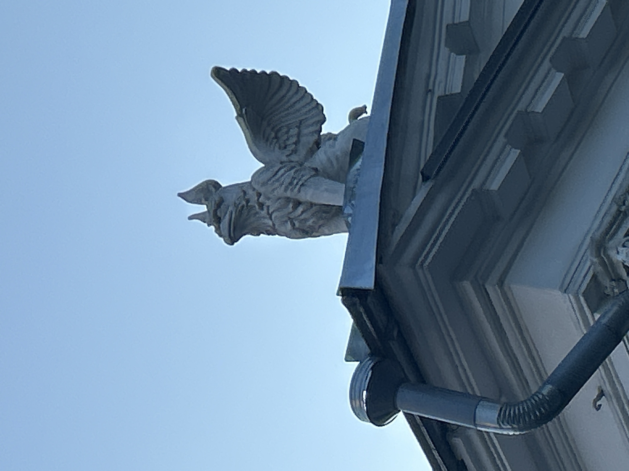 A low-angle view shows a gargoyle perched on the edge of a building. The gargoyle is a light color, possibly made of stone or concrete, and features a winged creature with a fierce expression. The building is a light color and has architectural details such as molding and trim. A dark-colored drainpipe runs along the side of the building. The sky is a clear, light blue. The location is Unknown, Unknown.