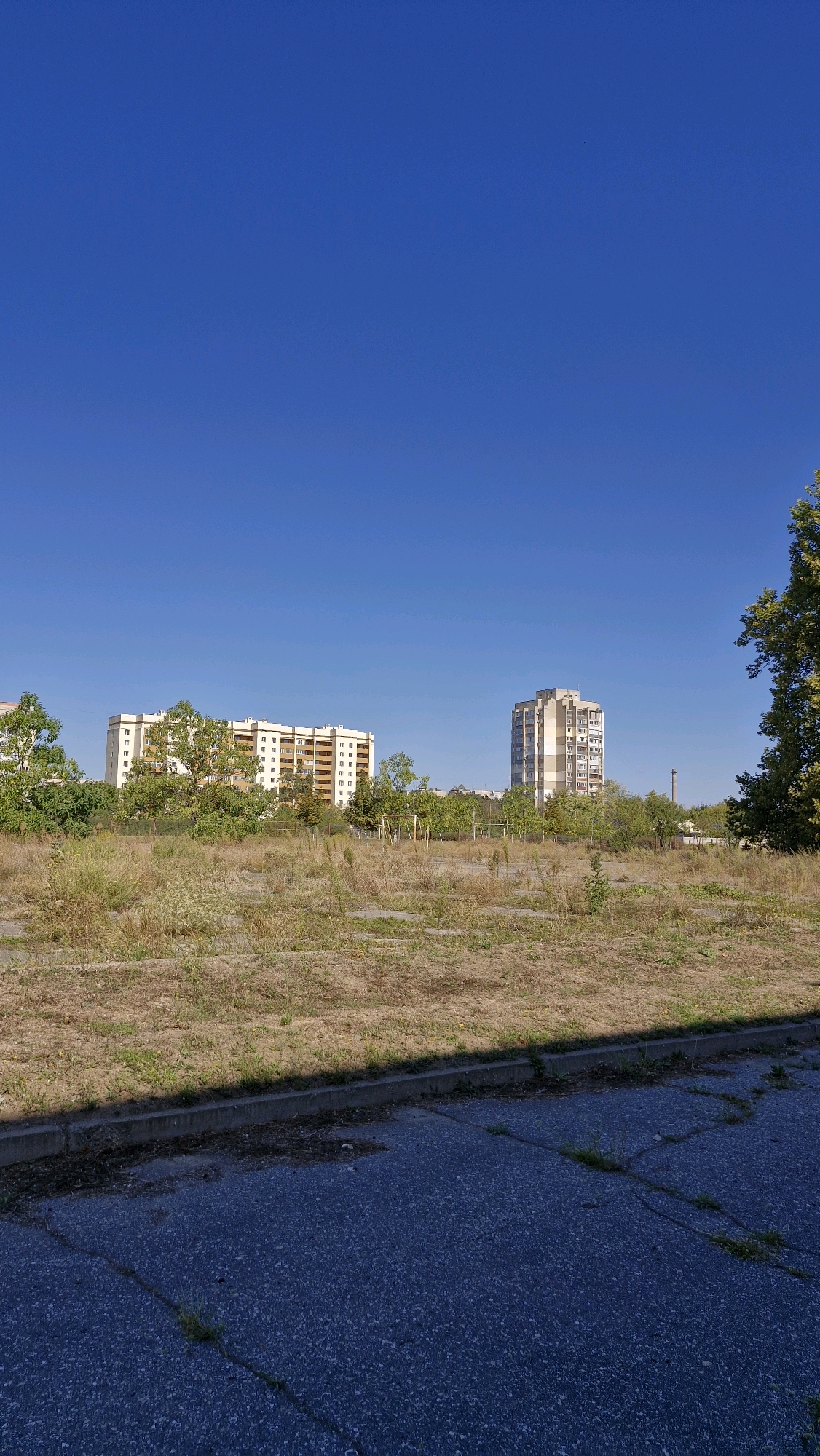 The image captures an outdoor scene in Serhiivka, Ukraine, on a clear day. The foreground features cracked asphalt paving with patches of dry grass and weeds growing through it. A concrete curb separates the pavement from a field of overgrown, dry grass and sparse vegetation. In the middle ground, a line of green trees and shrubs is visible. Beyond the vegetation, two multi-story residential buildings stand against a bright blue sky. The building on the left is lighter in color with visible windows and balconies. To its right, a taller, more slender building with a pattern of windows and balconies dominates the mid-background. A tall, slender industrial chimney is visible in the distance behind the buildings. The overall impression is one of an undeveloped or transitional urban space.