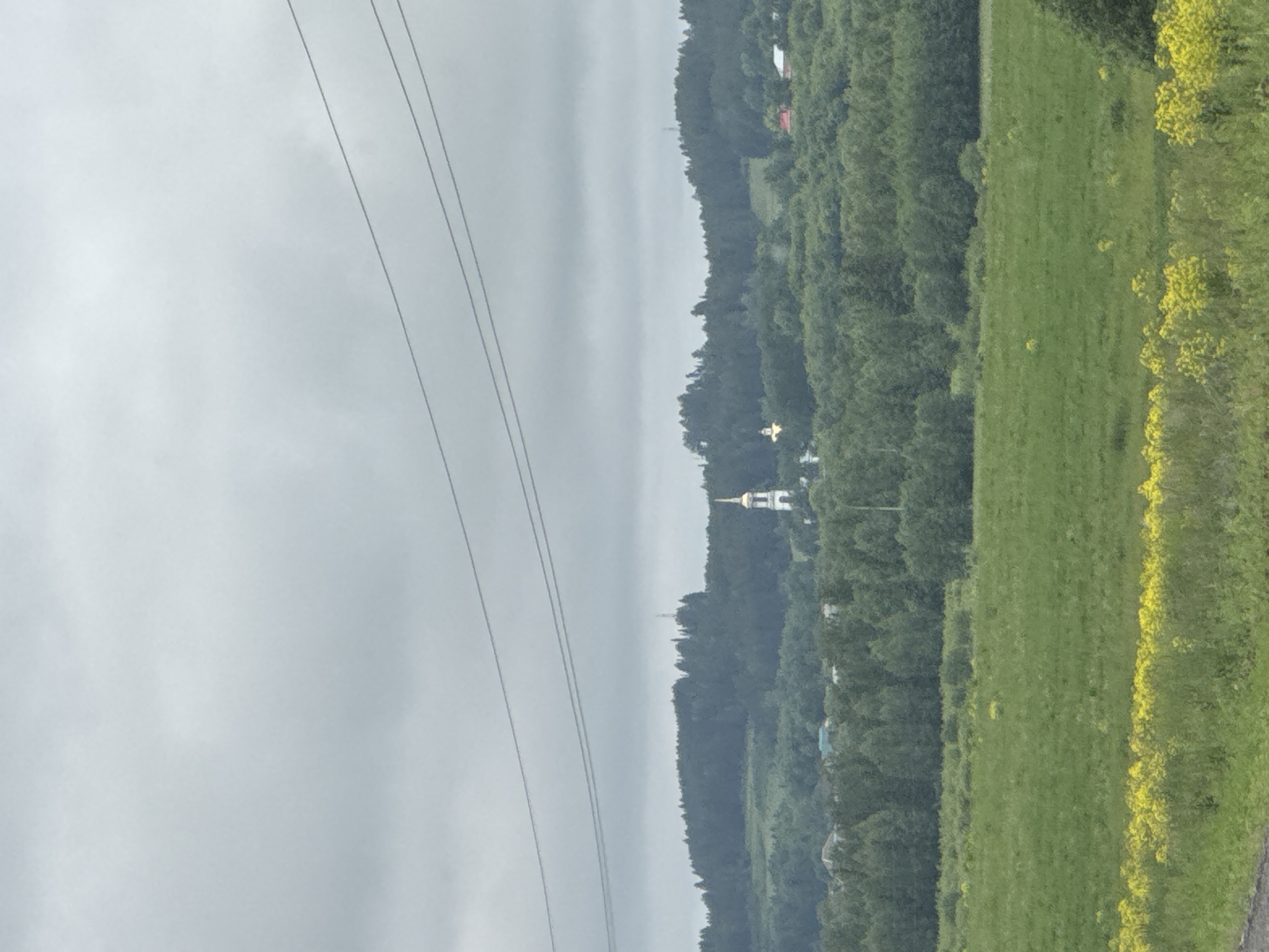 This landscape photograph captures a serene rural scene, likely in Можга, Russia, under an overcast sky. The upper portion of the image is filled with a light gray, cloudy sky, traversed by several parallel power lines extending diagonally from the upper left.
Below the sky, a dense band of green forest forms a natural horizon, stretching horizontally across the middle of the frame, suggesting a distant hill or ridge. Amidst these trees, slightly to the left of center, a white church with a distinctive golden dome and cross is clearly visible. Further to the right along the treeline, another smaller golden cross can be faintly seen, suggesting another religious structure or marker.
The foreground and mid-ground feature a vibrant green field or meadow, occupying the lower right portion of the image. Along the right edge of this field, bright yellow flowers are scattered, adding a splash of color to the verdant landscape.
The weather is cloudy, indicating a muted daytime setting. The scene is devoid of people or explicit activities, focusing instead on the natural environment and the prominent religious architecture. No visible text is present.