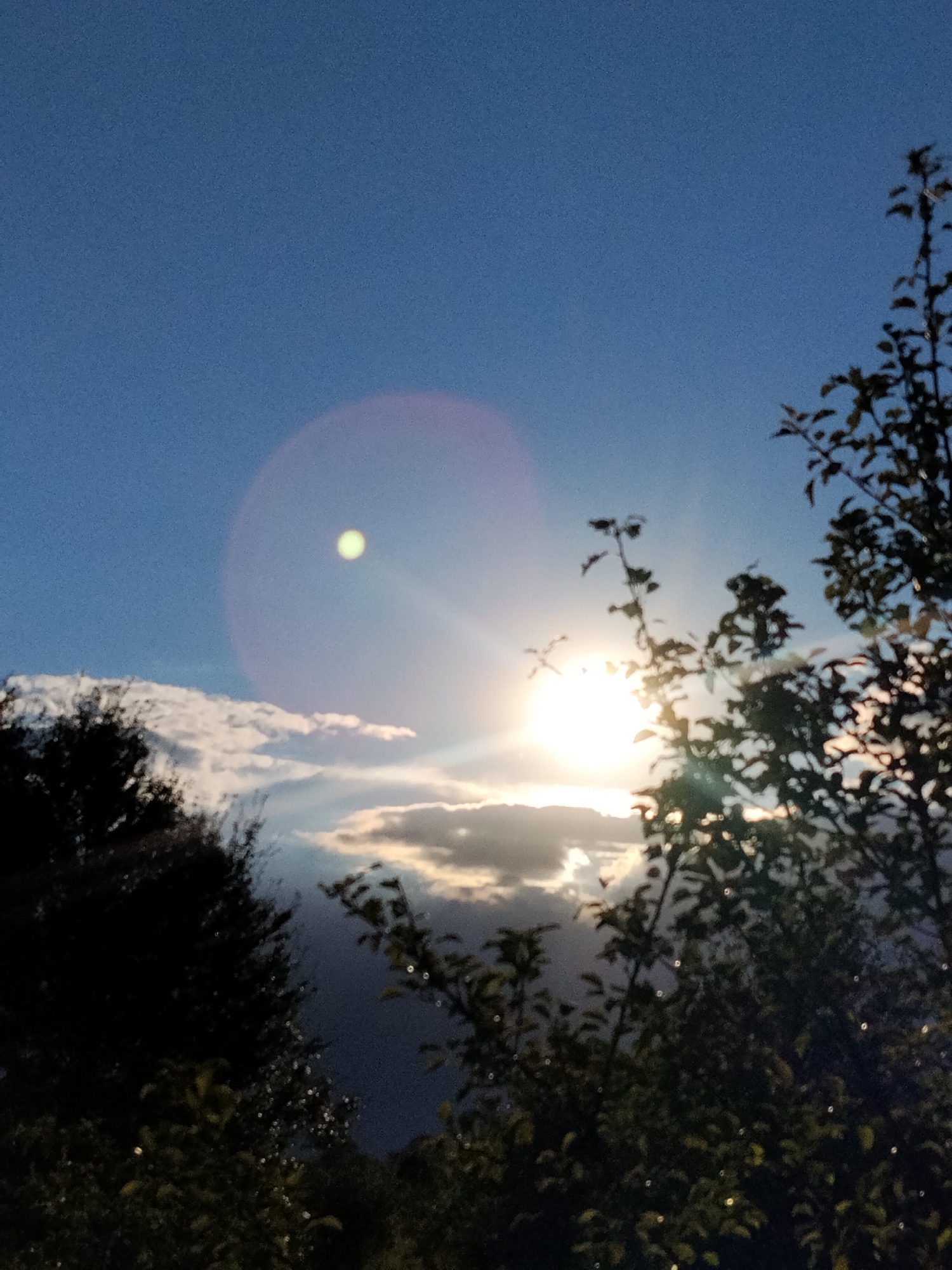 This is a vertical, eye-level, slightly blurry photograph of the sky with the sun and foliage. The sky is a gradient of deep blue at the top to lighter blue towards the horizon. The sun is a bright, white orb with visible rays emanating from it, partially obscured by clouds and tree branches. A faint lens flare, appearing as a pale green circle, is visible in the upper left quadrant of the image, overlaying the blue sky. In the foreground, dark silhouettes of tree branches and leaves fill the bottom and right sides of the frame. The foliage on the left side is also silhouetted and appears denser, with hints of light filtering through. The clouds are a mix of bright white and darker gray, suggesting either a partially overcast or stormy sky. The scene appears to be outdoors, likely in a natural or semi-natural environment within the city of Ustyvytsia, Ukraine, possibly during sunrise or sunset given the lighting conditions. There are no people or specific identifiable landmarks present.