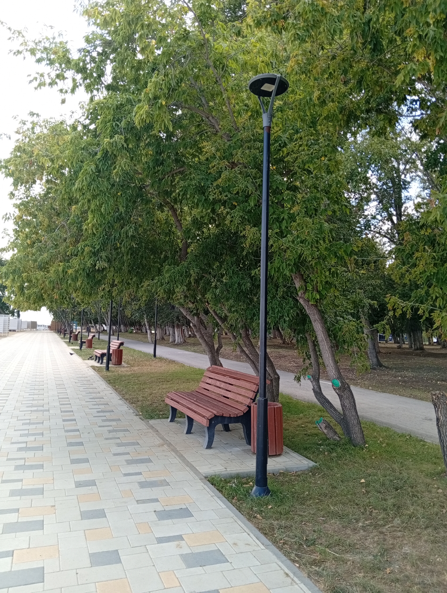This image depicts a park scene in Мичурин ауылдық округі, Kazakhstan. A paved walkway, laid with rectangular tiles of cream, grey, and light yellow, extends into the distance along the left side of the frame. Adjacent to the walkway, on the right, is a strip of green grass with scattered fallen leaves. Several park benches with wooden slats and dark legs are positioned along the walkway, with one prominently in the foreground. Beside each bench is a dark red trash receptacle. A tall, black lamppost with a circular top stands next to the foreground bench. A line of mature trees with dense green foliage lines the walkway and grass area, their trunks leaning slightly. The trees create a canopy that casts shadows on the path and grass. In the background, another paved path curves to the right, bordered by more trees and grass. The sky is visible through the leaves, appearing bright and overcast. No people are present in the image.