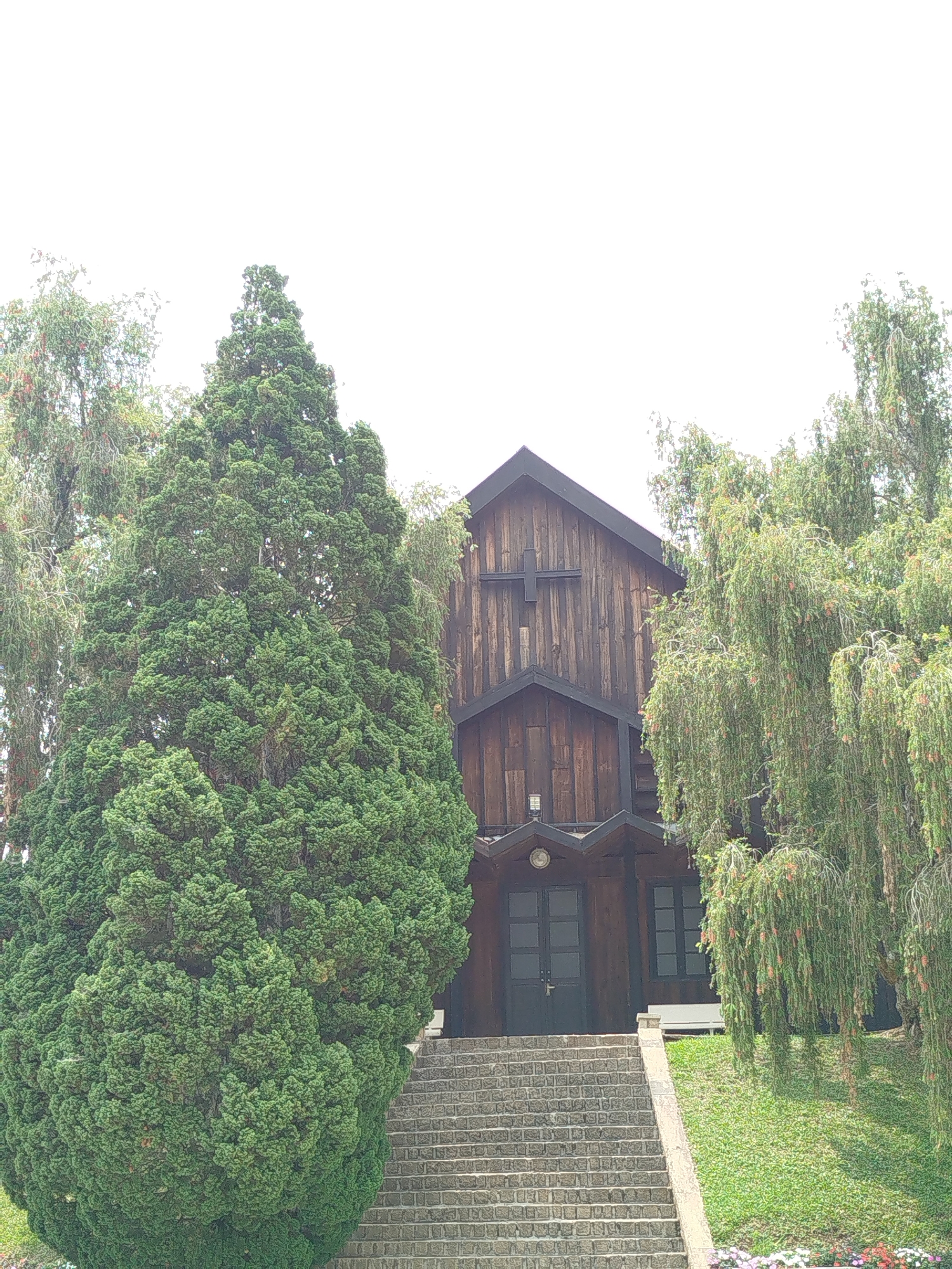 The image shows the wooden church of Domaine de Marie, located in the city of Lâm Viên - Đà Lạt, Vietnam. The church is built on a small hill and is accessed by a flight of stone stairs. The church facade is dominated by dark vertical wood planks and a dark roof line. At the peak is a simple cross structure. The church doors appear to be dark in color and are flanked by windows on either side. To the left of the steps stands a tall, conical cypress tree, and to the right is a weeping willow tree with long, hanging branches. Patches of grass and flowers are seen in the foreground. The sky appears to be overcast.