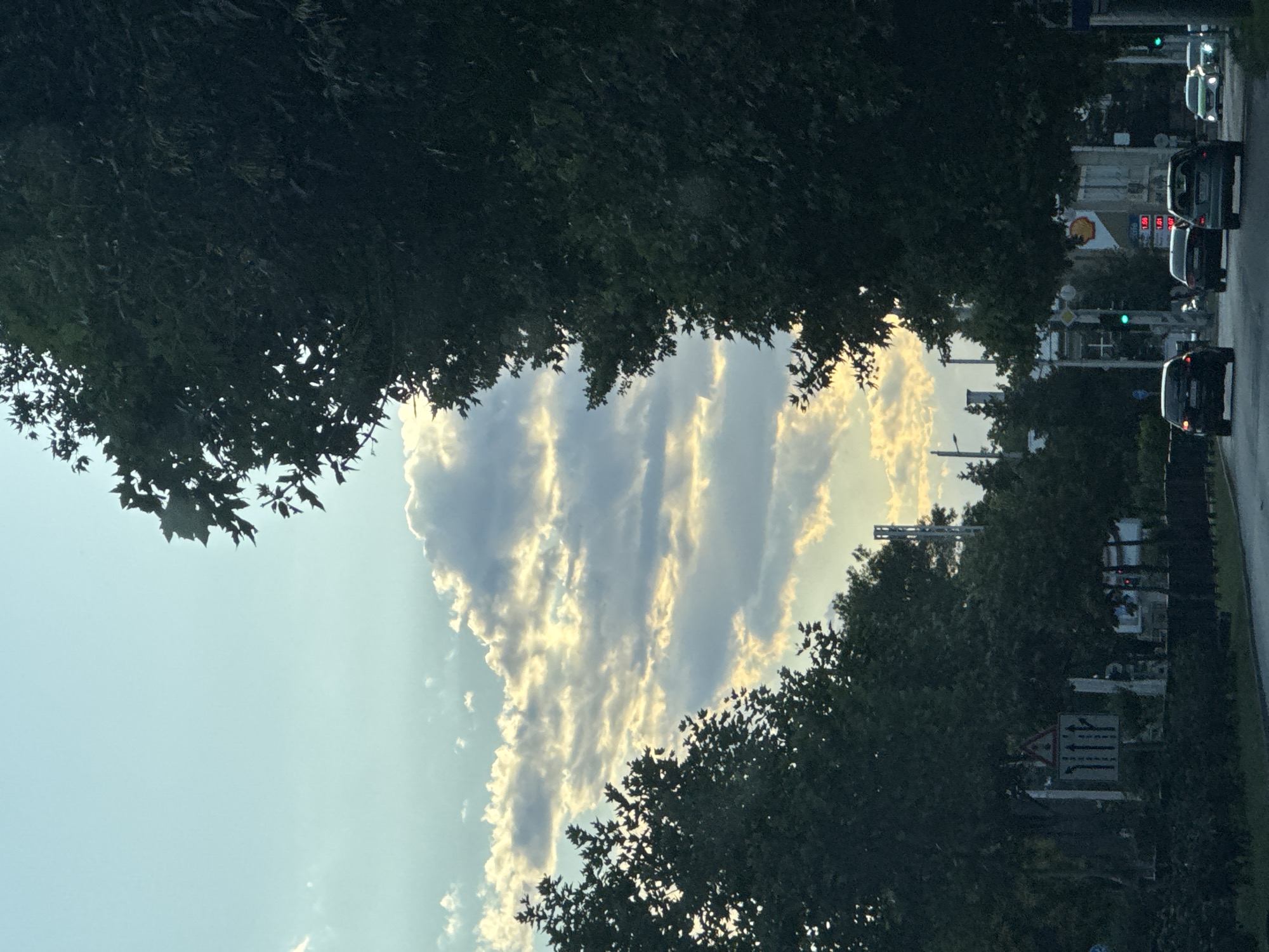 The image depicts a street scene in Plovdiv, Bulgaria, during what appears to be late afternoon or early evening, with the sun casting a warm glow on the clouds. Dominating the foreground and right side of the frame are the dense, dark green leaves of mature trees. The sky above is a pale blue, streaked with horizontal bands of light and dark clouds illuminated by the setting sun.
On the road, several cars are visible, traveling in the same direction. From left to right, the first car is a black sedan, followed by a dark-colored sedan, and then a lighter-colored hatchback. Further down the road, a green hatchback and a white sedan are also present.
To the left of the road, a traffic sign with multiple arrows indicates lane guidance. Behind this sign, lush green bushes and more trees line the roadside. In the mid-ground, a building complex with a visible Shell gas station logo is present. Traffic lights are also visible, one showing green. In the far distance, industrial structures and power lines can be seen against the sky. The overall impression is a suburban or outskirt area of the city with significant tree cover.