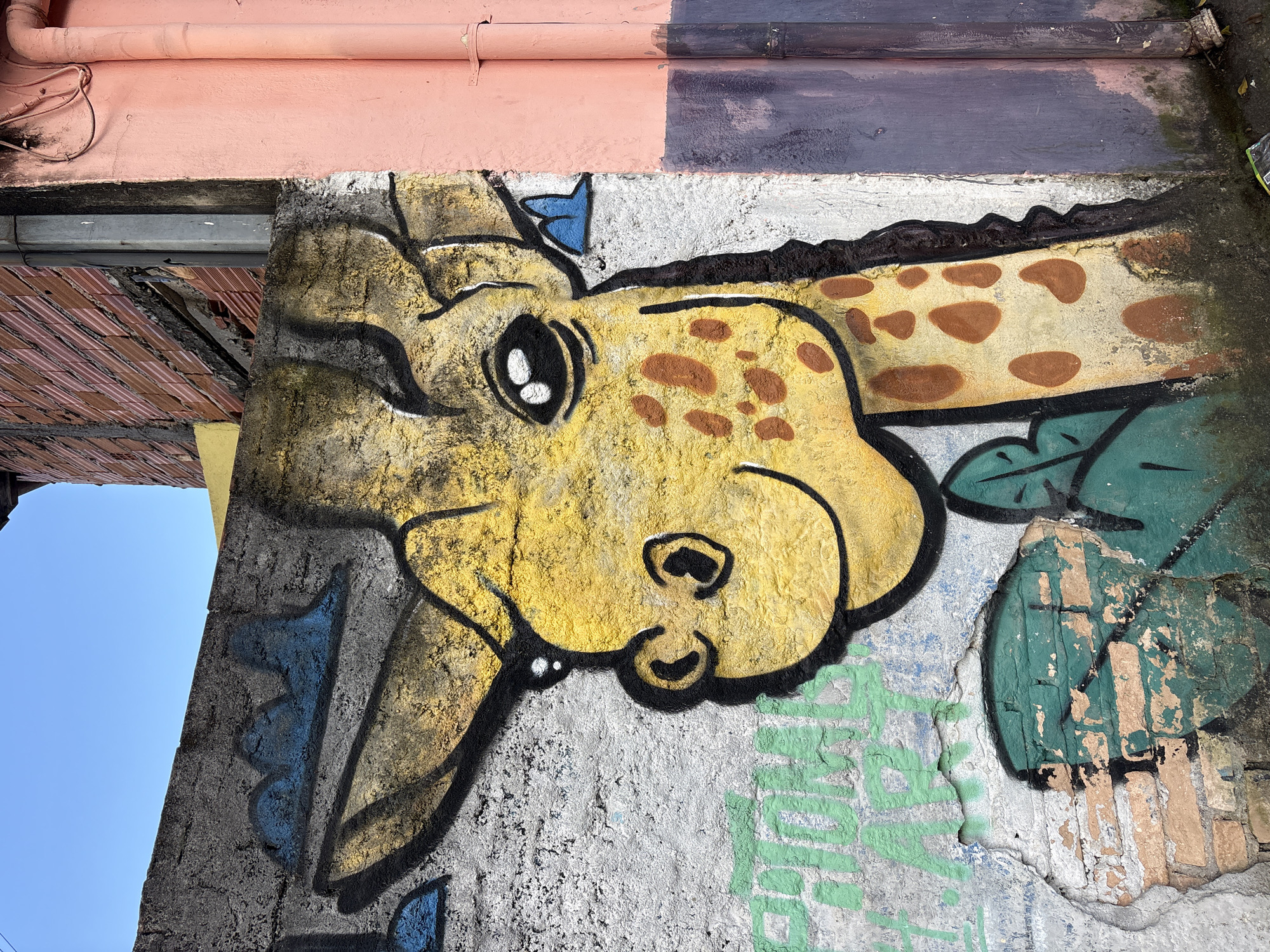 The image depicts a vibrant graffiti mural of a smiling giraffe on a textured concrete wall. The giraffe's face is predominantly yellow with brown spots, large black-outlined eyes with white pupils, and a wide black smile. Black outlines define the giraffe's features and body, extending down its neck where more brown spots are visible. Green painted foliage is depicted around the giraffe's neck and chest, some of which appears to be over a patch of exposed brickwork where the concrete has crumbled. Faint green spray-painted text is visible to the left of the giraffe.
To the right of the concrete wall, there is a section of wall painted in a gradient of pink and purple, with two large, parallel pipes running vertically down its surface. The upper part of the image shows a brick wall constructed with thin, red bricks, interspersed with concrete. The sky above is a clear, bright blue.
This graffiti mural is located on a wall in the Vila Mariana neighborhood of São Paulo, Brazil, on Rua Joaquim Távora.