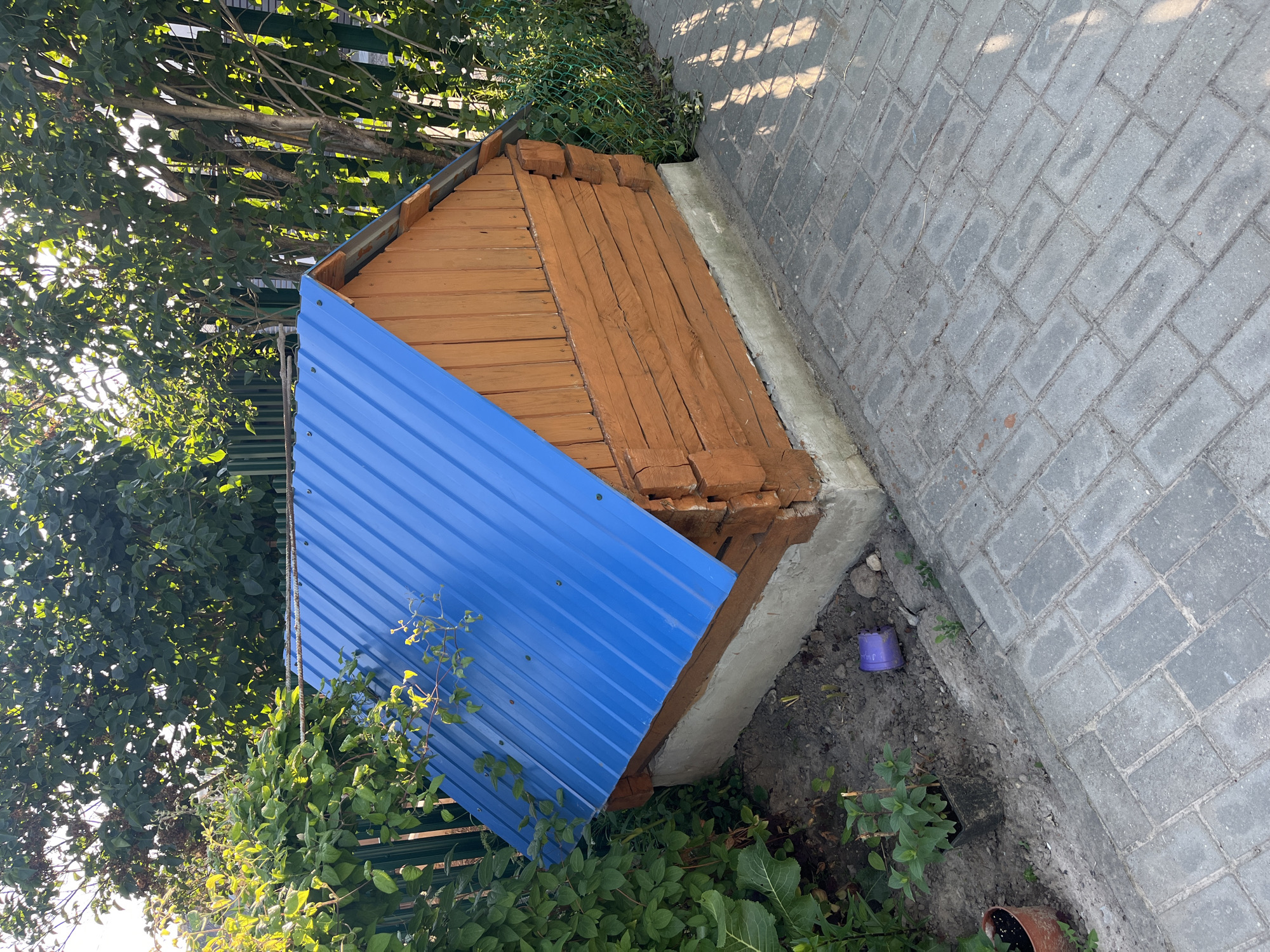 The image depicts a small, wooden structure with a bright blue metal roof, situated in an outdoor, possibly a backyard, setting. The structure is built from horizontal wooden logs and stands on a concrete foundation. The surrounding area is partly paved with gray interlocking bricks, and partly consists of soil with some greenery. In the soil, there are a few small plants in pots and a small purple object, possibly a toy. Lush green foliage and trees are visible in the background, suggesting a temperate climate. The scene is lit by natural sunlight, casting shadows on the paving stones. There are no people or animals present in the image. The location is in the city of Navahrudak, Belarus.