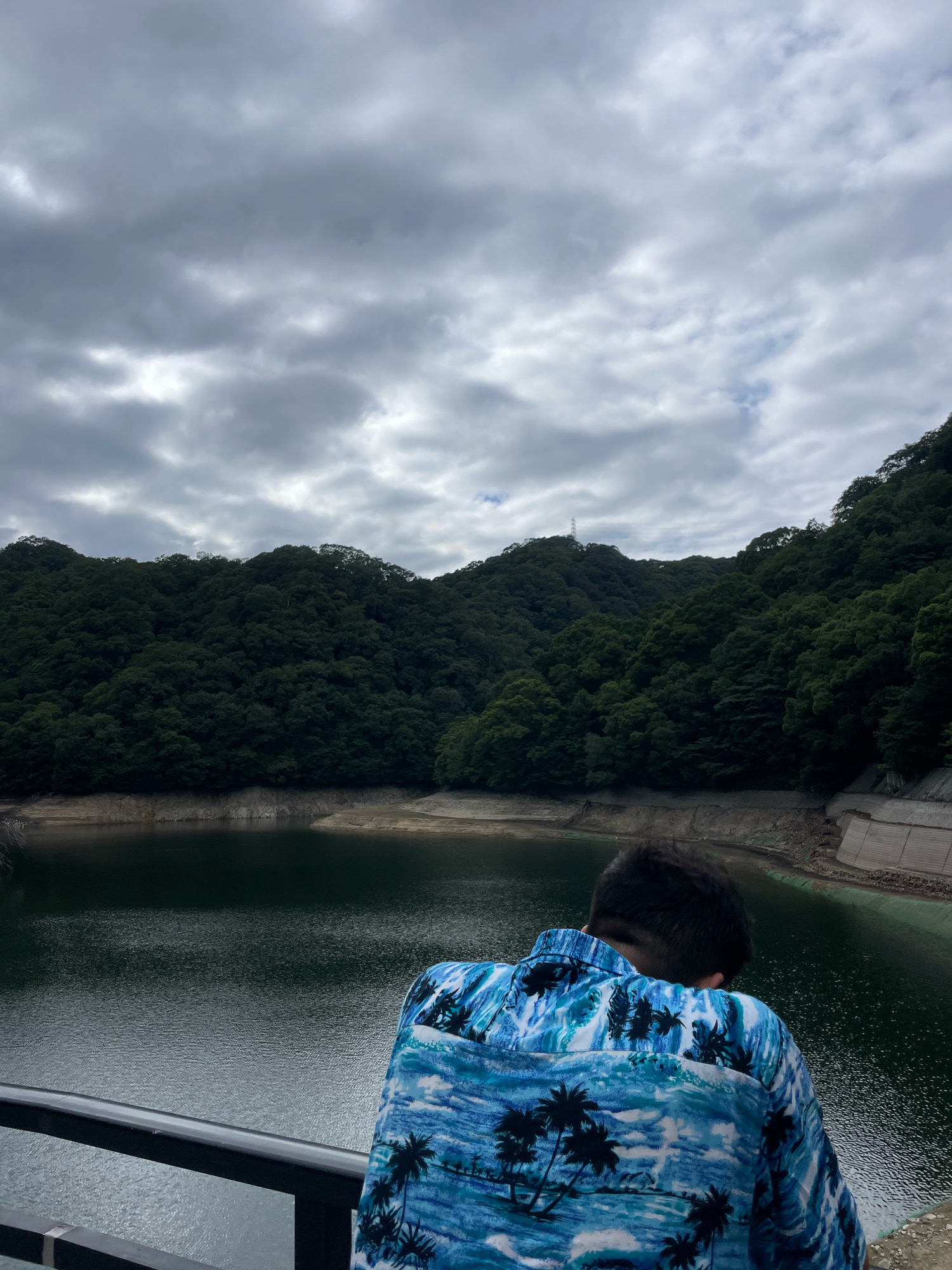 A person wearing a blue Hawaiian shirt is standing on a railing overlooking a body of water. The water is dark and reflects the overcast sky, which is filled with grey clouds. The water is surrounded by lush green hills that are densely covered with trees. The hills form a natural backdrop to the scene. In the distance, a communication tower can be seen on top of one of the hills. The area appears to be a reservoir or a dam, possibly located in the Rokko Mountains within Kobe, Japan, given the natural landscape. The water level is relatively low, exposing some of the shoreline.