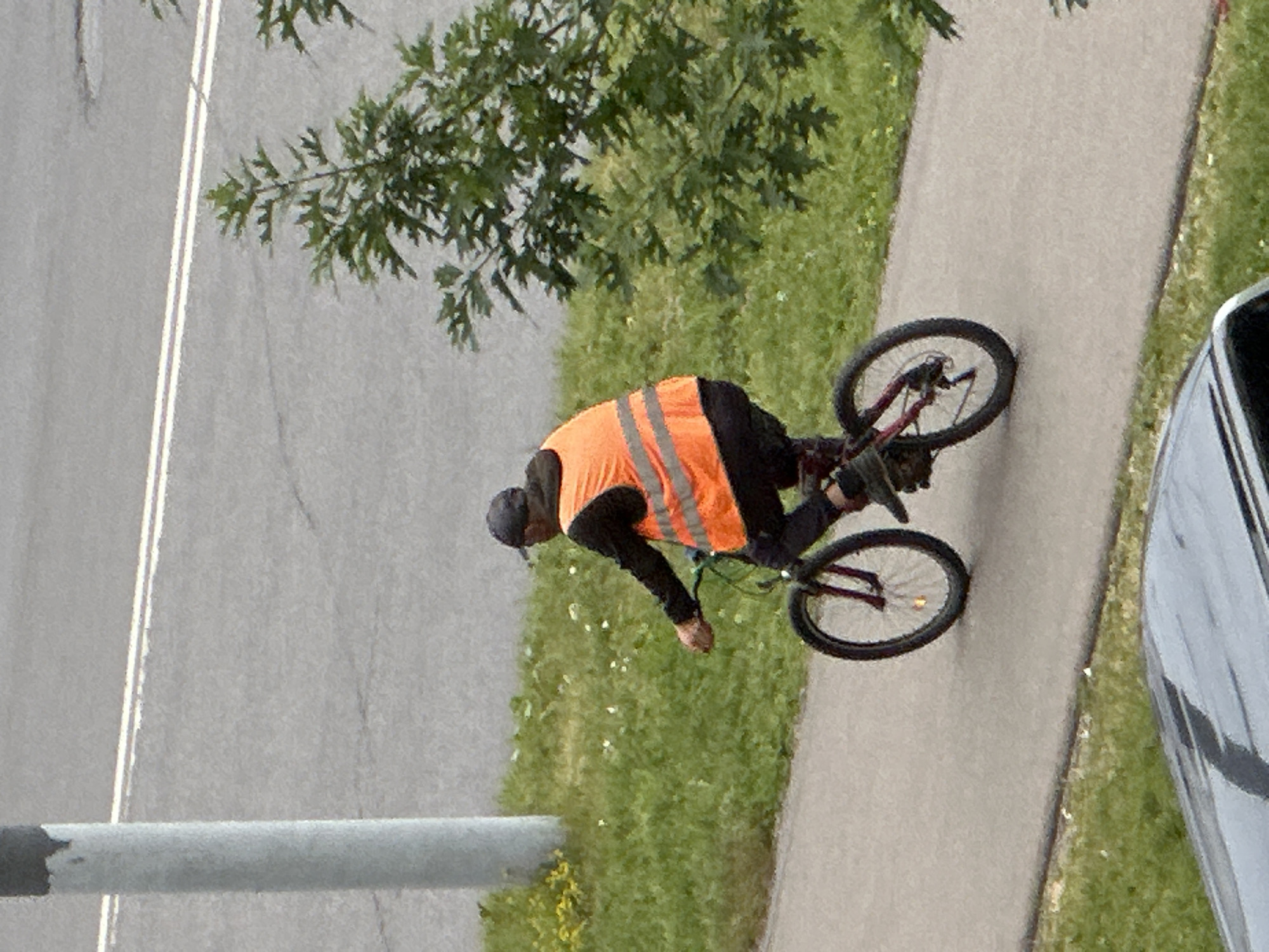 A person wearing a dark cap and an orange safety vest over dark clothing is riding a bicycle on a paved path. The bicycle has black tires and a red frame. The path runs alongside a strip of grass with scattered yellow and white flowers. Beyond the grass is a grey asphalt road with white lane markings. A light grey cylindrical pole stands on the left side of the frame, and a green leafy tree is on the right. A portion of a dark-colored car is visible in the foreground at the bottom of the image.