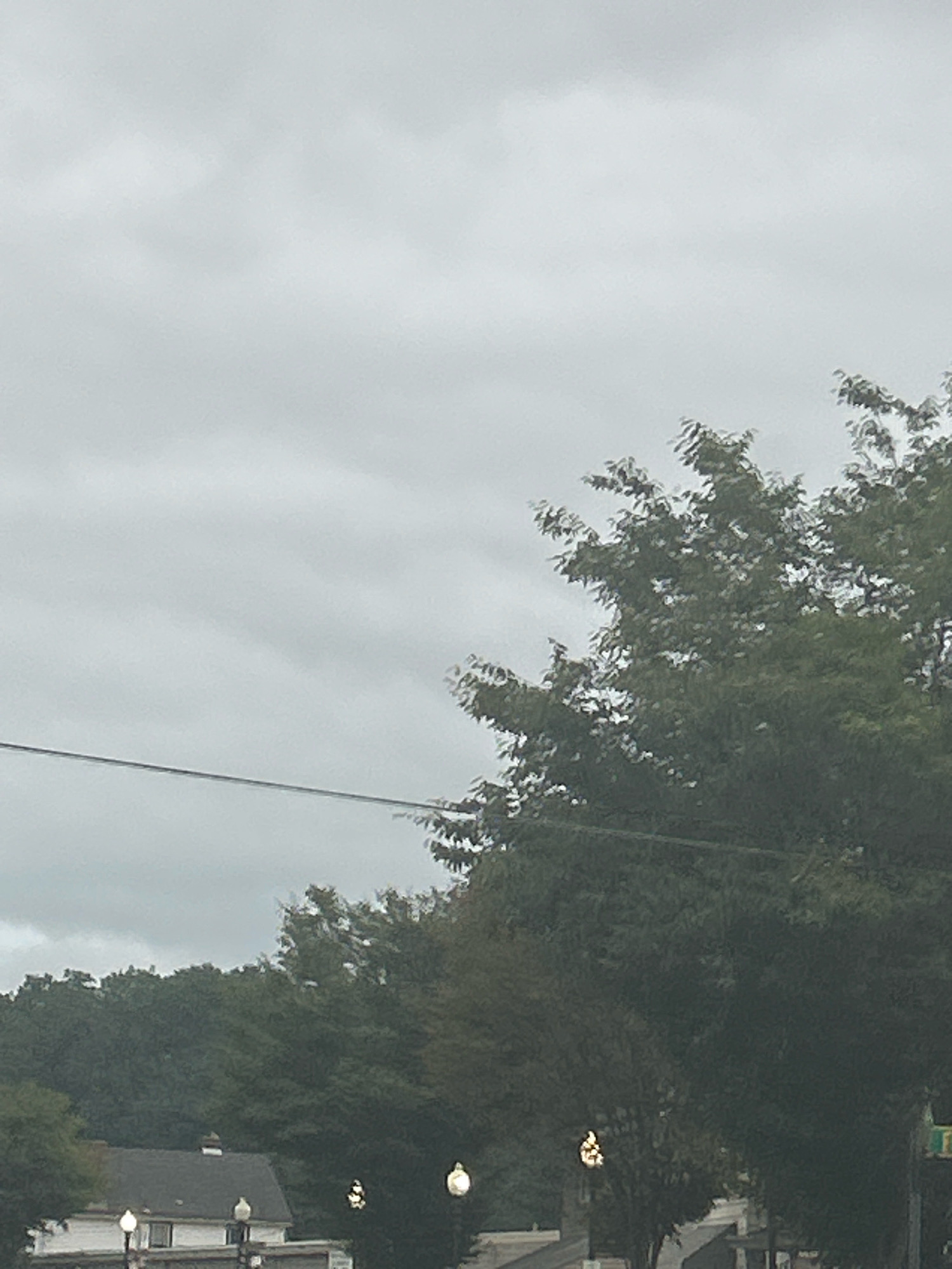 The image depicts an overcast sky above a suburban street scene. In the foreground, a dark wire stretches horizontally across the frame. To the right, the lush green foliage of trees dominates the middle ground. In the lower left quadrant, a portion of a building with a dark roof and a white lower section is visible. A chimney rises from the roof. Two streetlights, one with a glowing bulb, are positioned along the street. The background consists of more dense green trees. The scene is likely captured in Carnegie, United States of America, given the context.