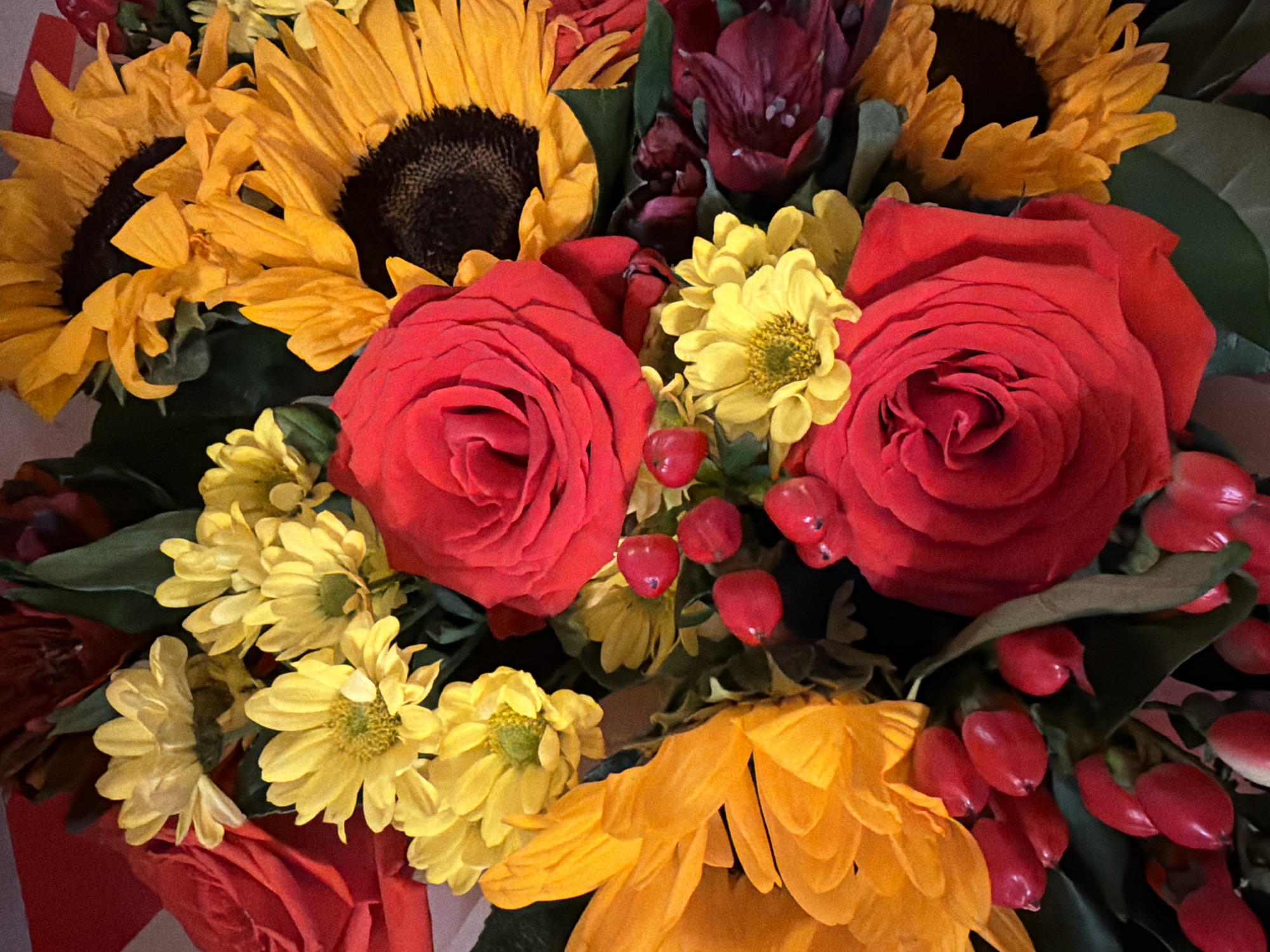 This is a vibrant, close-up photograph of a richly composed floral bouquet. The dominant elements are large, fully bloomed red roses and bright yellow sunflowers with dark, textured centers, prominently featured throughout the arrangement. Interspersed among these are clusters of smaller, daisy-like yellow flowers, adding another layer of texture and color contrast.
Adding depth and interest are deep burgundy or dark red flowers, possibly alstroemeria or similar, peeking out from the background. Bright red, glossy berries, resembling hypericum berries, are scattered throughout the bouquet, providing small bursts of intense red and a delicate, spherical accent. Lush green foliage forms a dark backdrop, enhancing the vivid colors of the flowers.
The flowers are densely packed, creating a full and abundant arrangement. The lighting is soft, highlighting the petals and giving them a slight sheen. No specific activity is taking place, as it is a still life image of a static floral display. There is no visible text within the image. The arrangement conveys a sense of warmth, celebration, and natural beauty. Based on the provided context, this image is from Khimki, Russia.