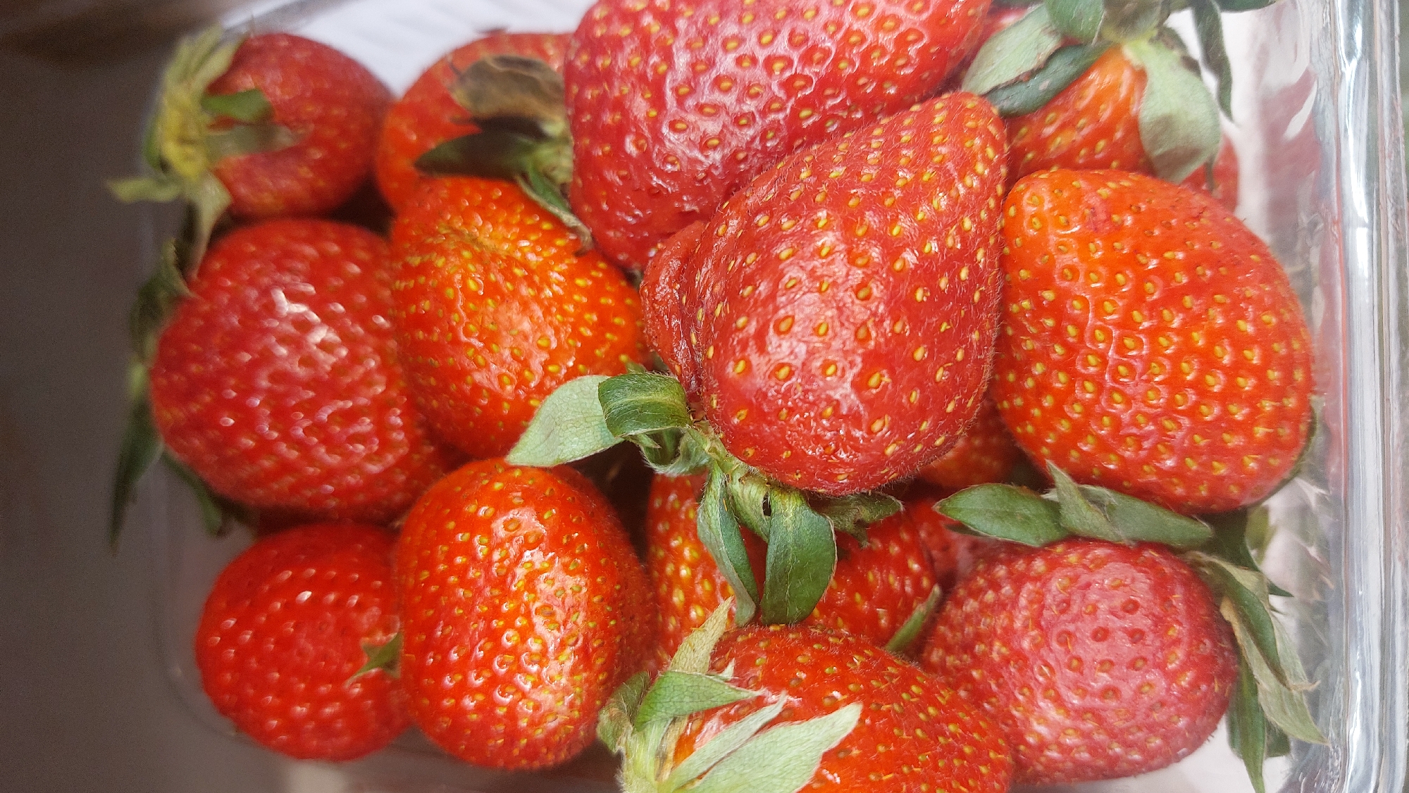 The image depicts a close-up view of a container of strawberries. The strawberries are red with small yellow seeds covering their surfaces. They have green leafy stems. The container appears to be clear plastic. The scene suggests an indoor setting with soft, diffused lighting. No people are visible. The location in the city of Novosibirsk, Russia is not discernible from the image.
