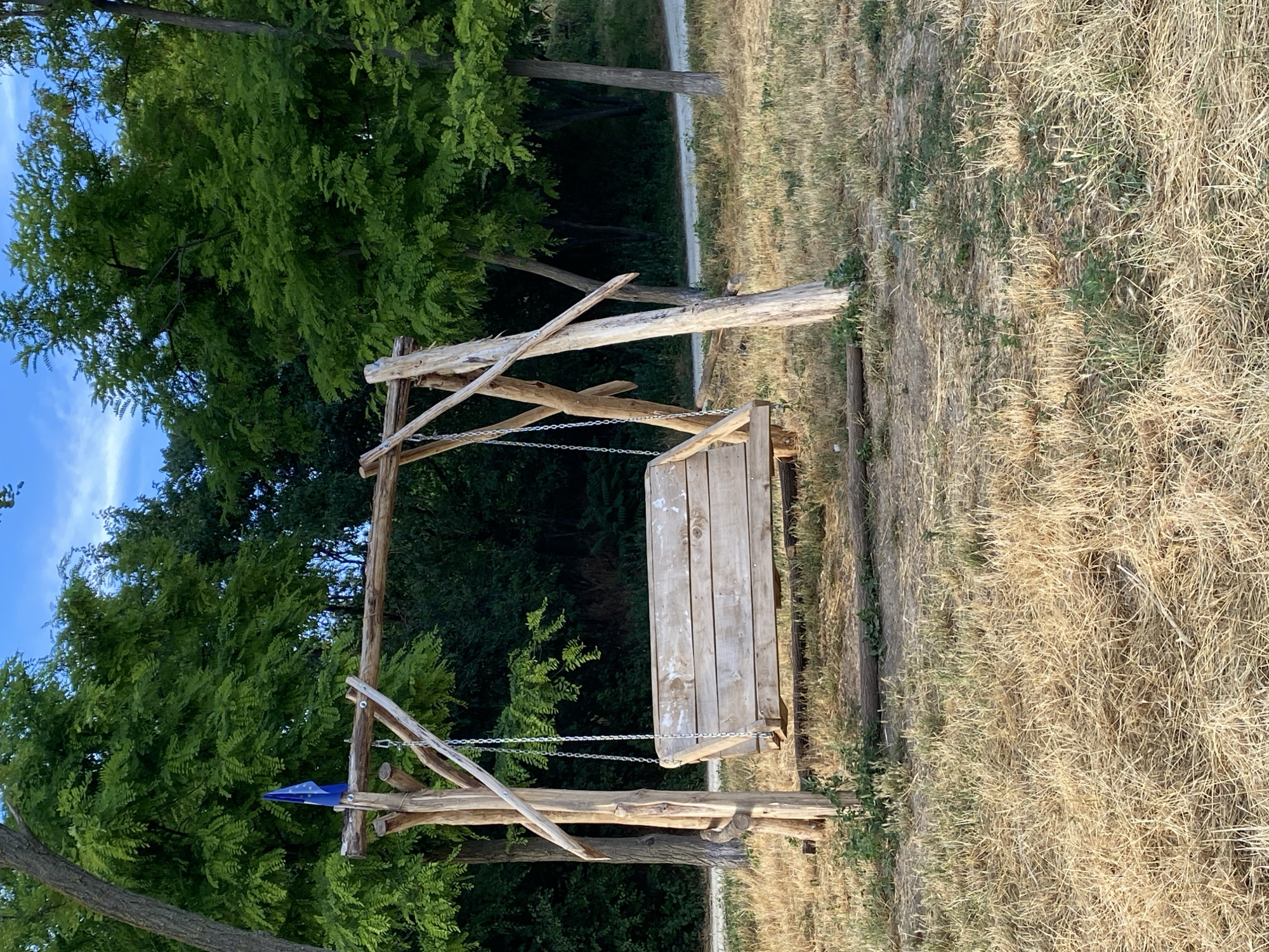 A rustic wooden swing set stands in a grassy, dry field with scattered trees and a blue sky overhead. The swing itself is made of several rough-hewn wooden planks and hangs from metal chains attached to a wooden frame. A small blue flag with yellow stars, possibly the European Union flag, is attached to the frame. The ground is covered in dry, straw-like grass, with some green shoots emerging. In the background, a path or road is visible, bordered by more trees. The overall scene suggests an outdoor, possibly rural, setting in Horești, Moldova. There are no people visible in the image.