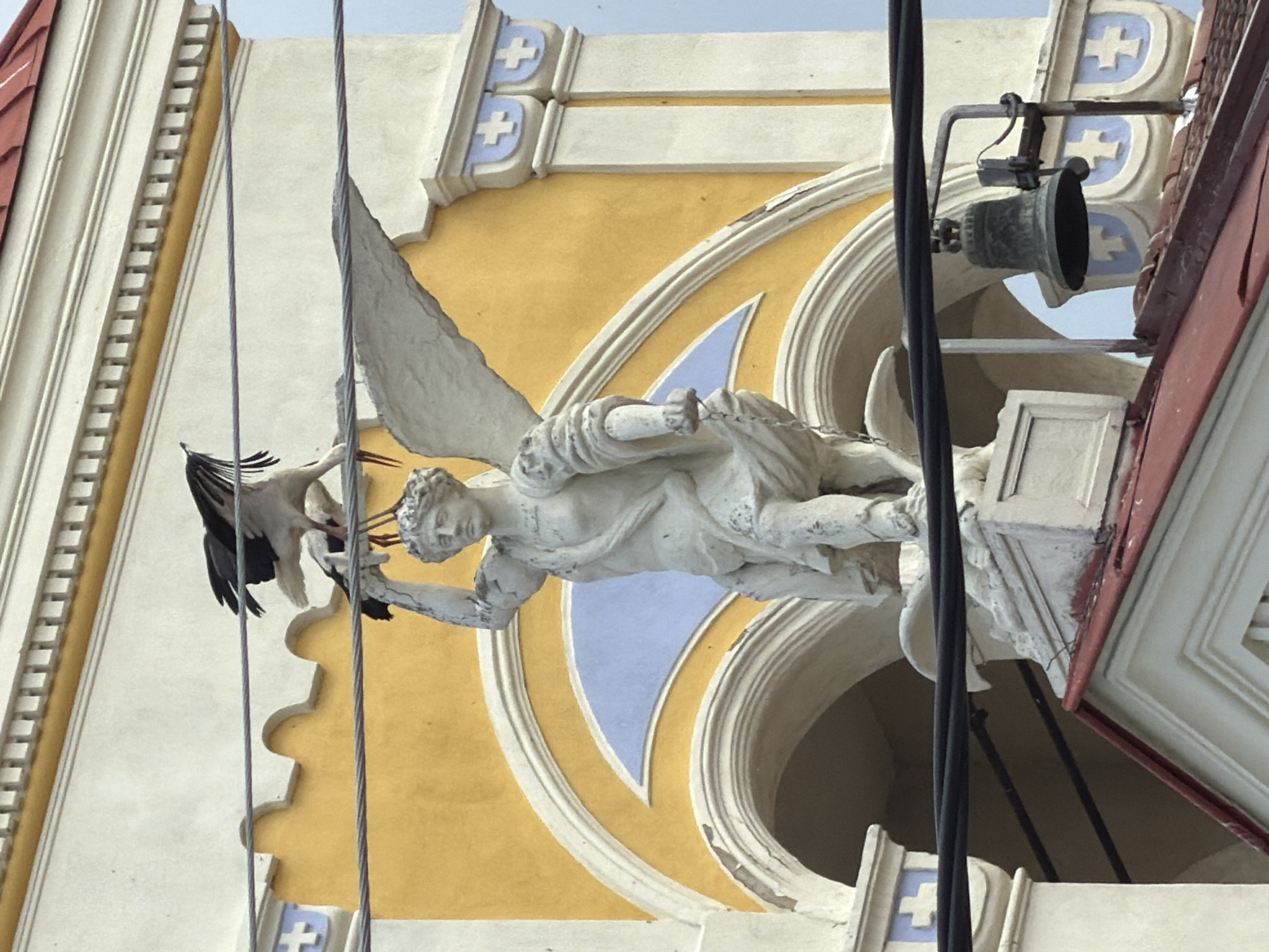 This vertically oriented image captures a detailed section of an ornate building facade, likely a church or public building in Rakovski, Bulgaria.
The central focus is a white, winged statue, possibly an angel or a classical figure, dynamically positioned against a vibrant yellow and light beige wall. The statue has discernible facial features, draped garments, and appears to be holding a small, indistinct object in its left hand (as viewed in the rotated image). Its wings are prominent, with one appearing somewhat fractured or obscured.
Perched on or next to the statue's head is a white and black bird, possibly a stork or heron, with a long beak. The bird appears to be actively interacting with the statue, perhaps pecking at its head or grooming itself.
The building itself displays intricate architectural details. A large arched opening, painted light blue on the inside, forms a prominent background element behind the statue. Surrounding this are cream-colored moldings and pilasters, which are further adorned with light blue Maltese crosses, visible towards the top and bottom right portions of the image. The main wall surface is a warm ochre-yellow. Parts of a reddish-brown tiled roof are visible on the far left and right edges.
In the upper right section, a small, dark, ornate bell is suspended from a metal bracket. Several thick, dark electrical or communication cables run vertically across the foreground, partially obscuring the architectural elements and the statue.
The scene is illuminated by bright daylight, under what appears to be a clear sky, highlighting the textures and colors of the building. No visible text is present.