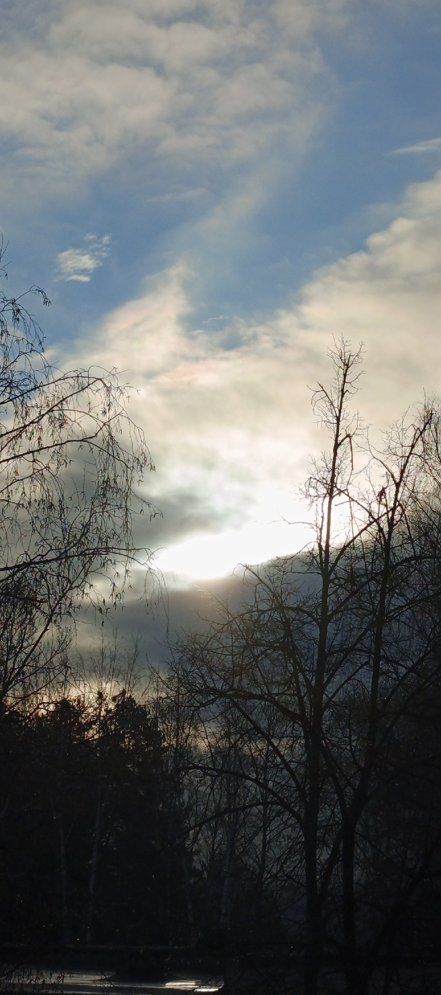 The image depicts a silhouetted landscape, likely taken near the city of Chaikovsky, Russia, given the probable location based on the user's location. The sky is overcast with varying cloud formations; patches of blue sky are visible among thicker, grey clouds. The sun is obscured by the clouds, creating a diffused light effect. The lower portion of the frame is dominated by bare trees, devoid of leaves, silhouetted against the sky. Some dense vegetation is also noticeable in the lower-middle ground, appearing as a dark mass. In the very bottom of the image, there is a reflective surface, likely water. No people or animals are discernible in the scene.