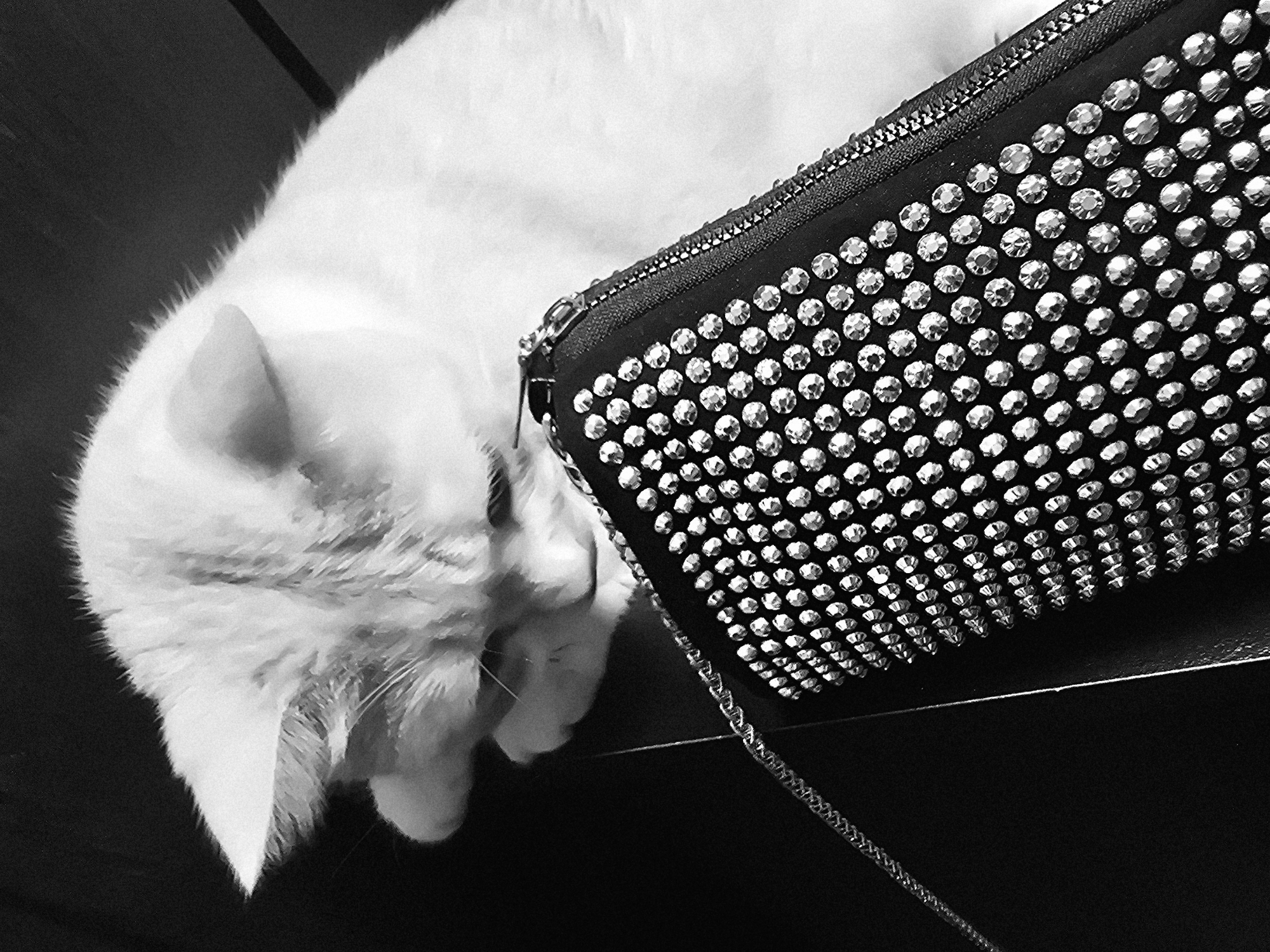A black and white, close-up, eye-level shot captures a fluffy white cat resting its head on a black clutch purse adorned with numerous small, sparkly embellishments. The cat's paws are tucked underneath its head, and its eyes are closed or looking down, suggesting it is relaxed or asleep. The purse is positioned to the right of the frame, with its zipper slightly open. A thin silver chain extends from the purse towards the left side of the image. The background is dark and out of focus, creating a shallow depth of field that emphasizes the cat and the purse. The lighting is soft, highlighting the texture of the cat's fur and the reflective qualities of the purse's embellishments. No specific location or environmental details are discernible.