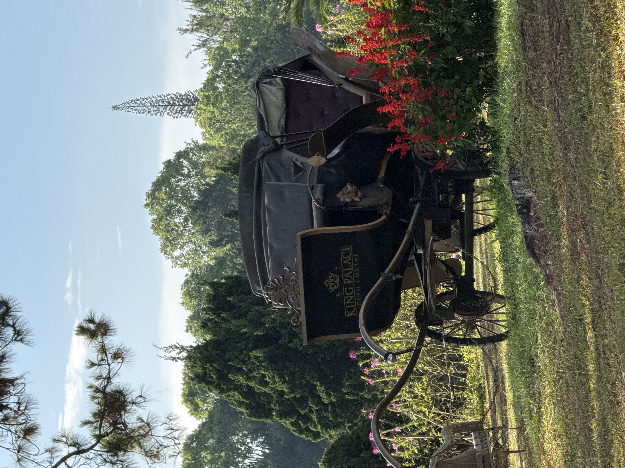 An antique horse-drawn carriage stands on a grassy lawn in Da Lat, Vietnam. The carriage is black with gold trim. A sign on the side reads "King Palace, Dinh I Da Lat". Red flowers grow around the carriage. Trees and a blue sky with some clouds are in the background.