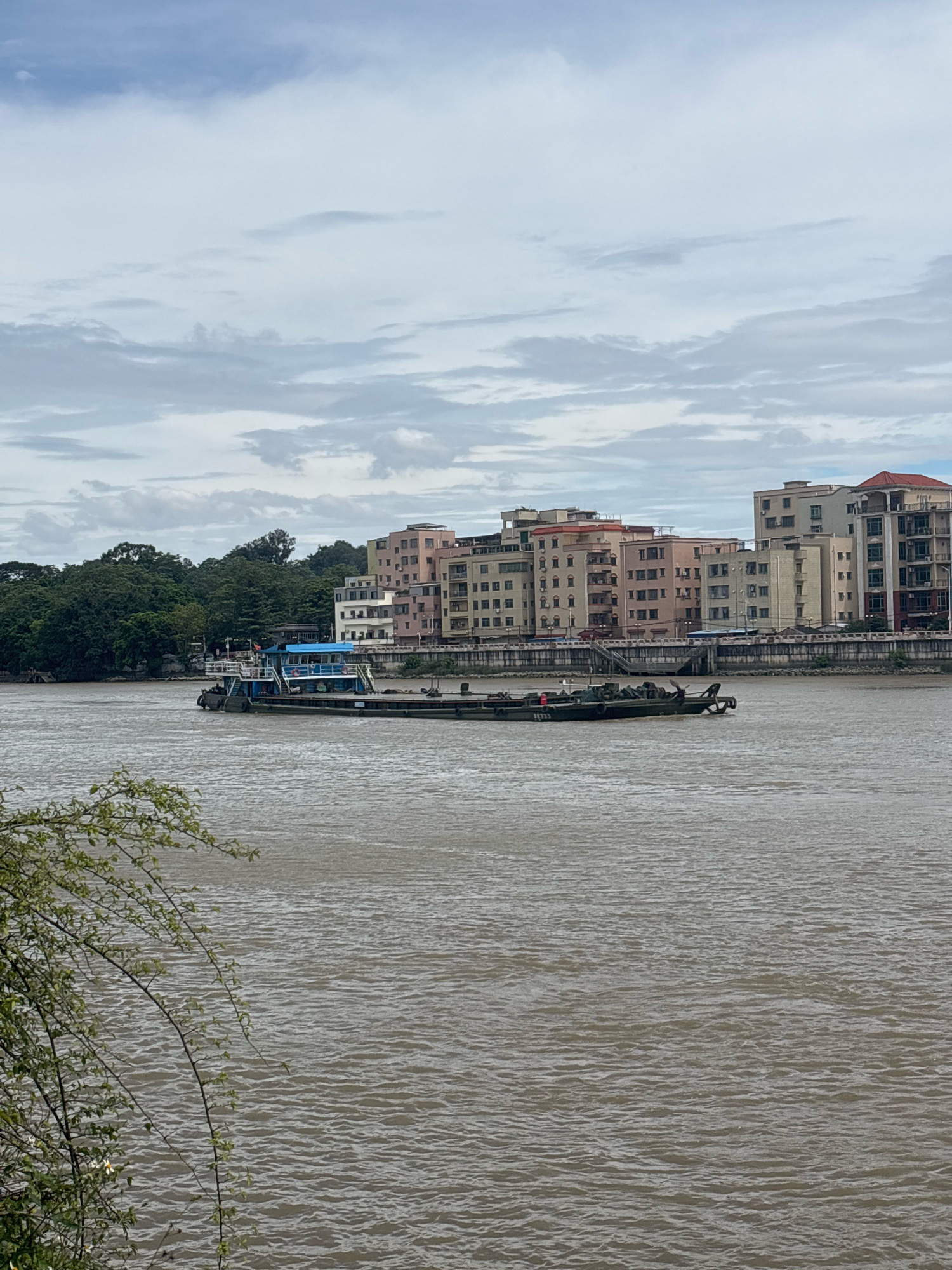 This is a vertical, eye-level, medium shot photograph of a wide, murky river in the city of Nanhai District, China, under an overcast sky. The river occupies the majority of the frame, with a barge traveling across it. The barge is long and flat, with a blue cabin structure towards the stern and a dark, presumably cargo-filled, deck in the front. Several figures appear to be standing on the deck of the barge. The water is choppy, with ripples and waves suggesting a moderate current. On the far bank of the river, a dense line of lush green trees forms a natural border. Behind the trees, a row of multi-story apartment buildings, with varied architectural styles and colors ranging from light yellow and pink to white and beige, are visible. A concrete embankment with a railing separates the river from the buildings. In the foreground, the branches of a leafy tree with small white flowers hang into the frame from the left, partially obscuring the water. The sky is filled with scattered, gray clouds, indicating an overcast or cloudy day. The scene depicts a moment of urban life along a major waterway, with a blend of natural and man-made elements.